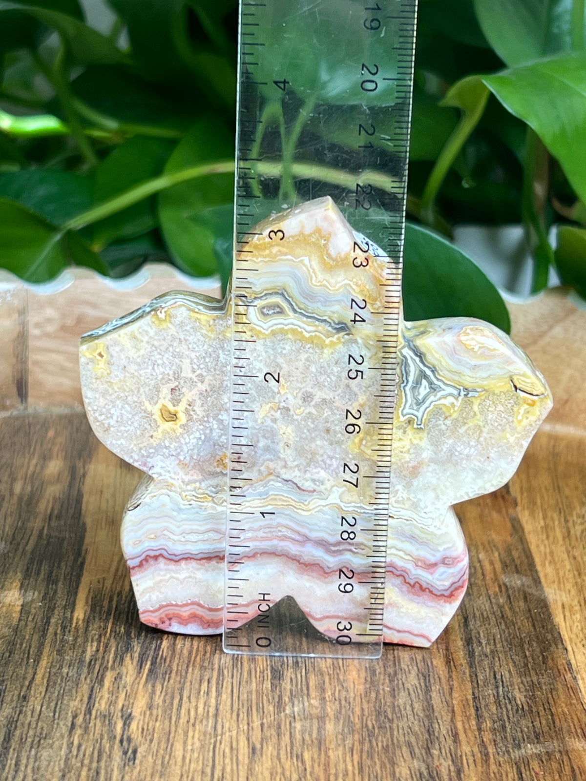 Crazy Lace Agate Flower: CD