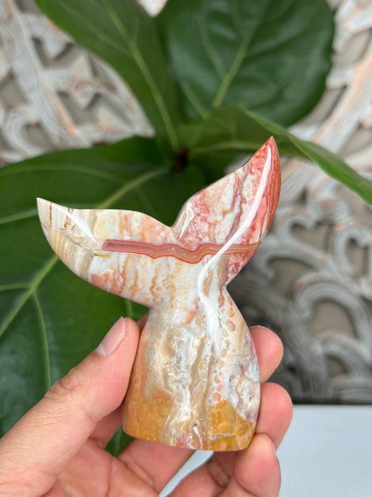 Milky Jasper Tail