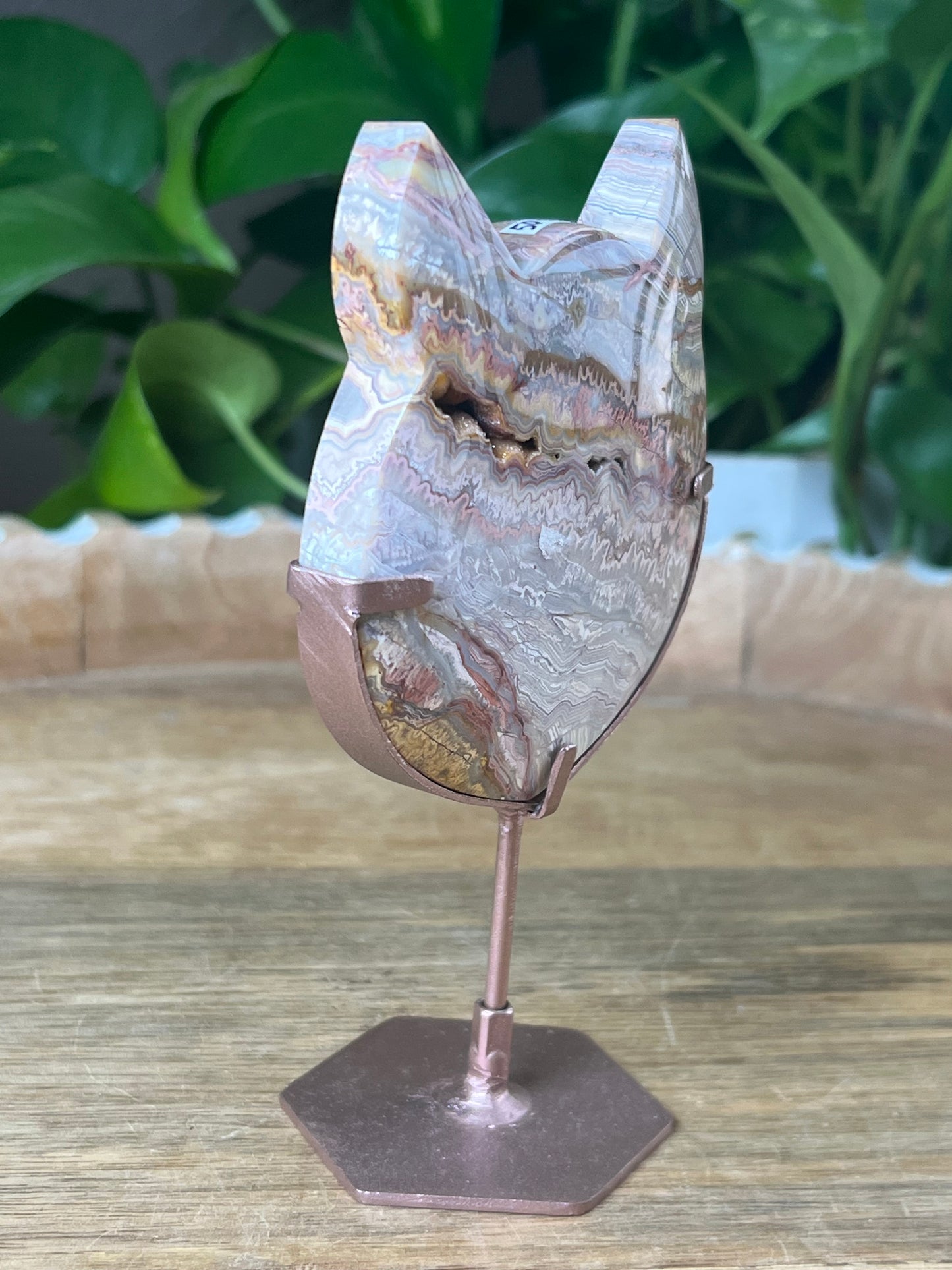 Crazy Lace Agate Cat