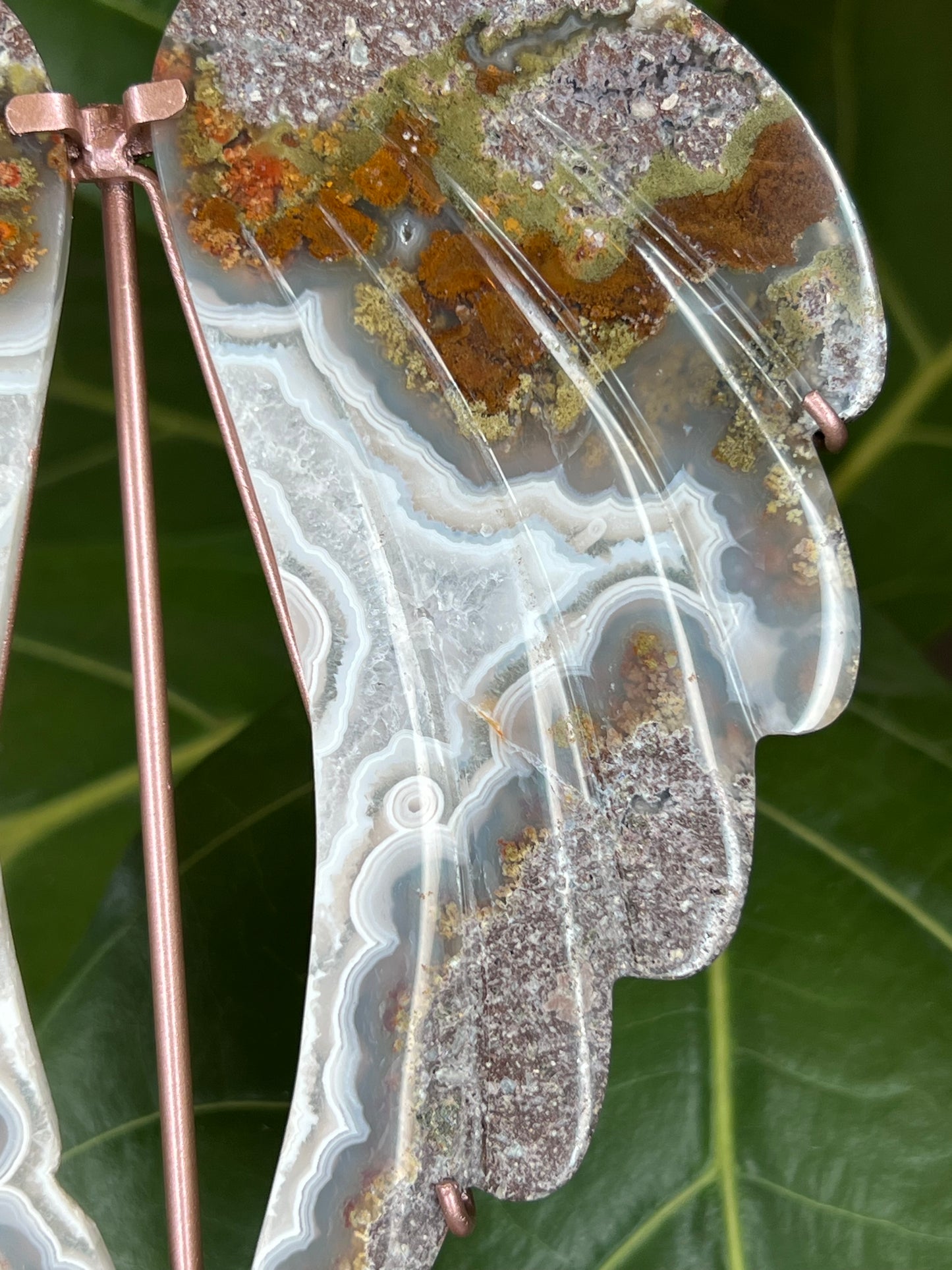 Scenic Moss Agate Wings