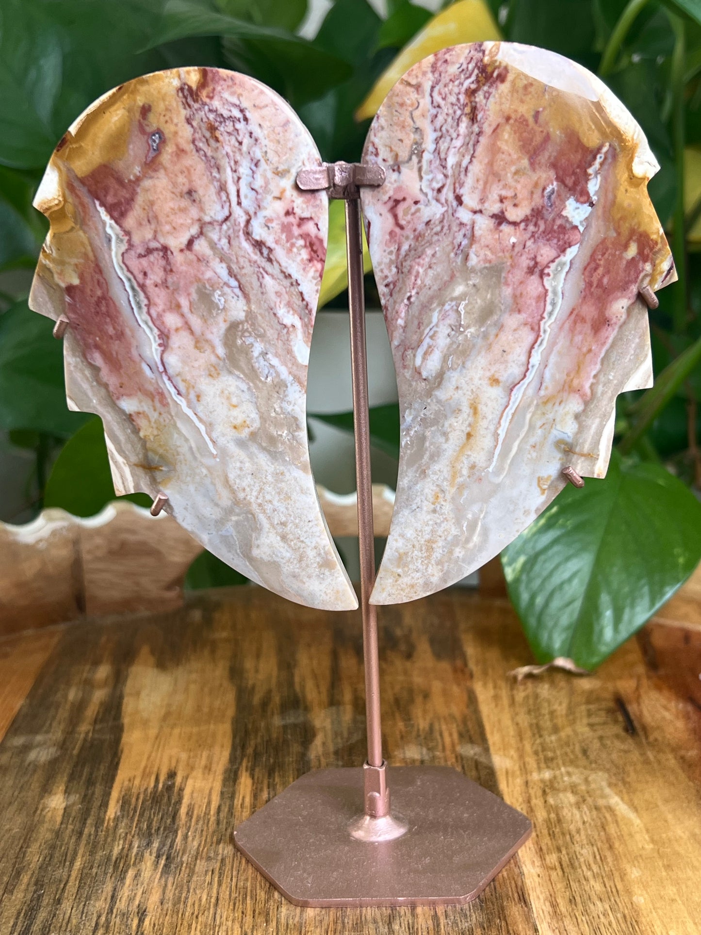 River Jasper Wings BY