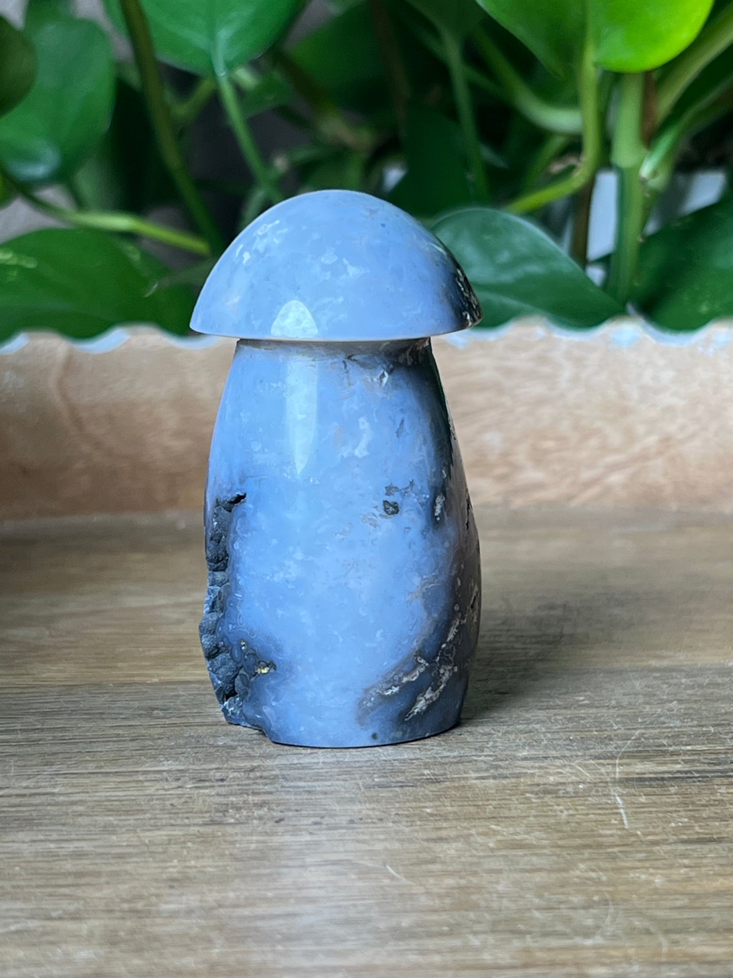 Blue Plume Agate Mushroom: ZB