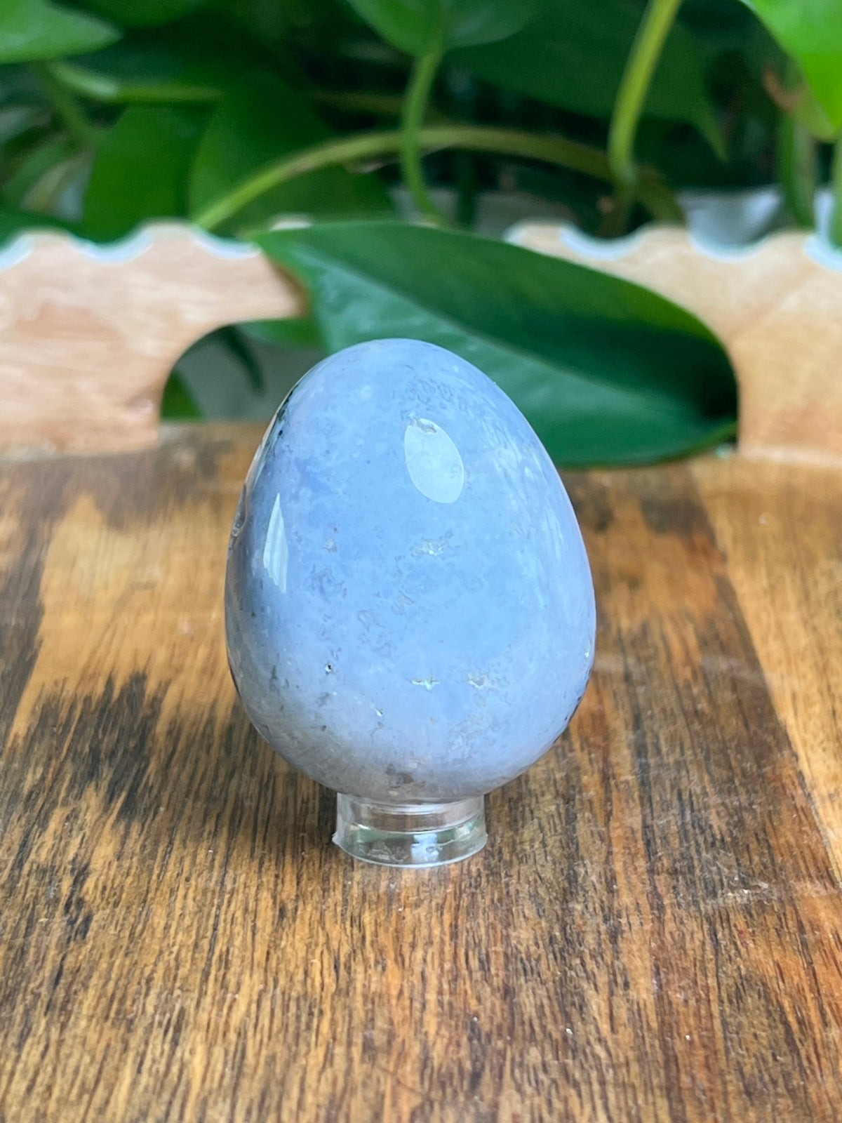 Blue Plume Agate Egg: BB