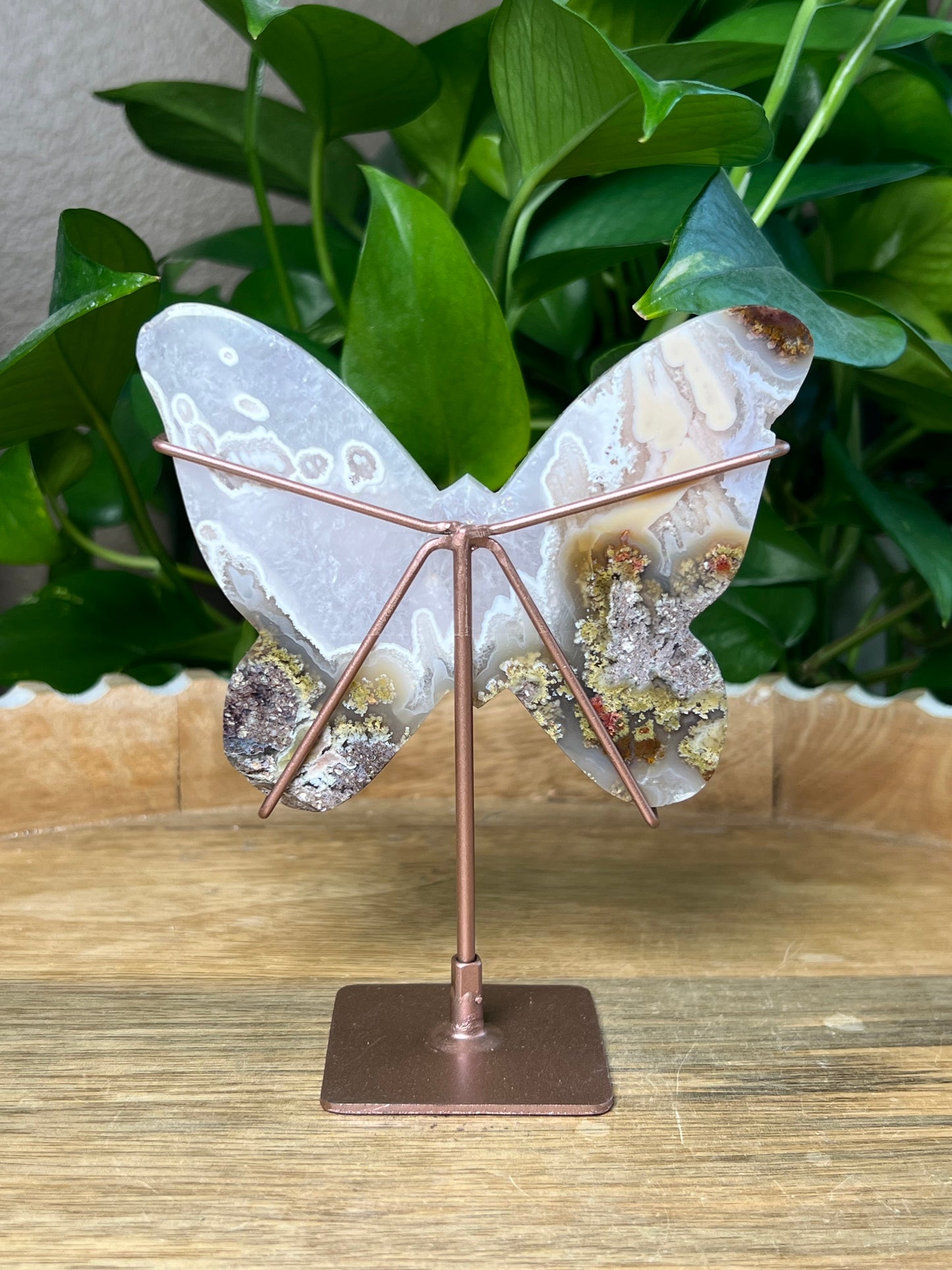 Scenic Moss Agate Butterfly