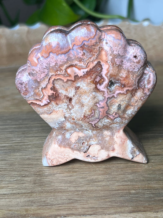 Crazy Lace Agate Shell