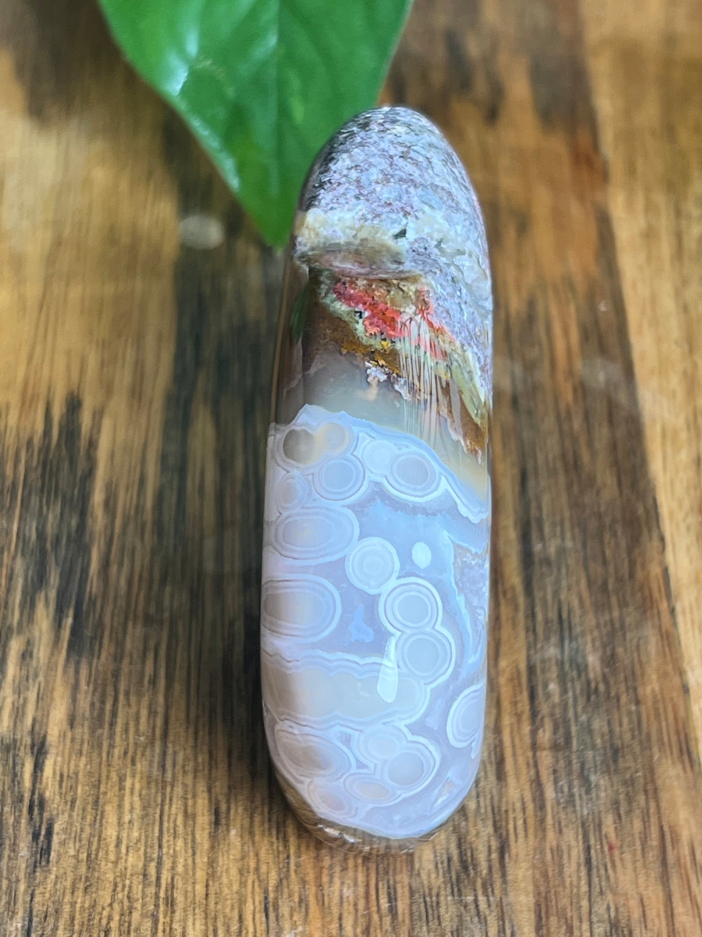 Scenic Moss Agate Buffalo N
