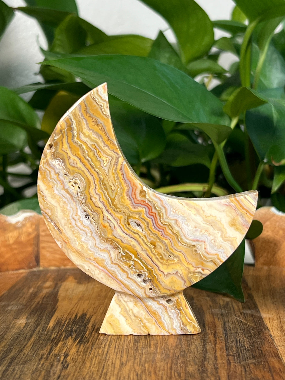 Yellow Crazy Lace Agate Self Standing Moons