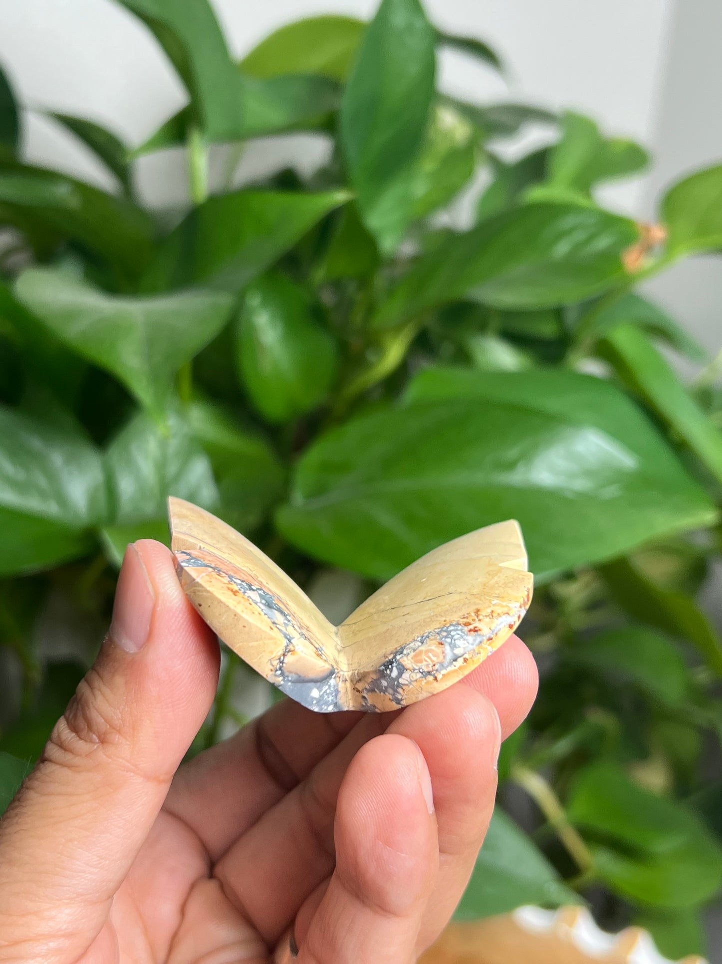 Maligano 3D Butterfly: AB