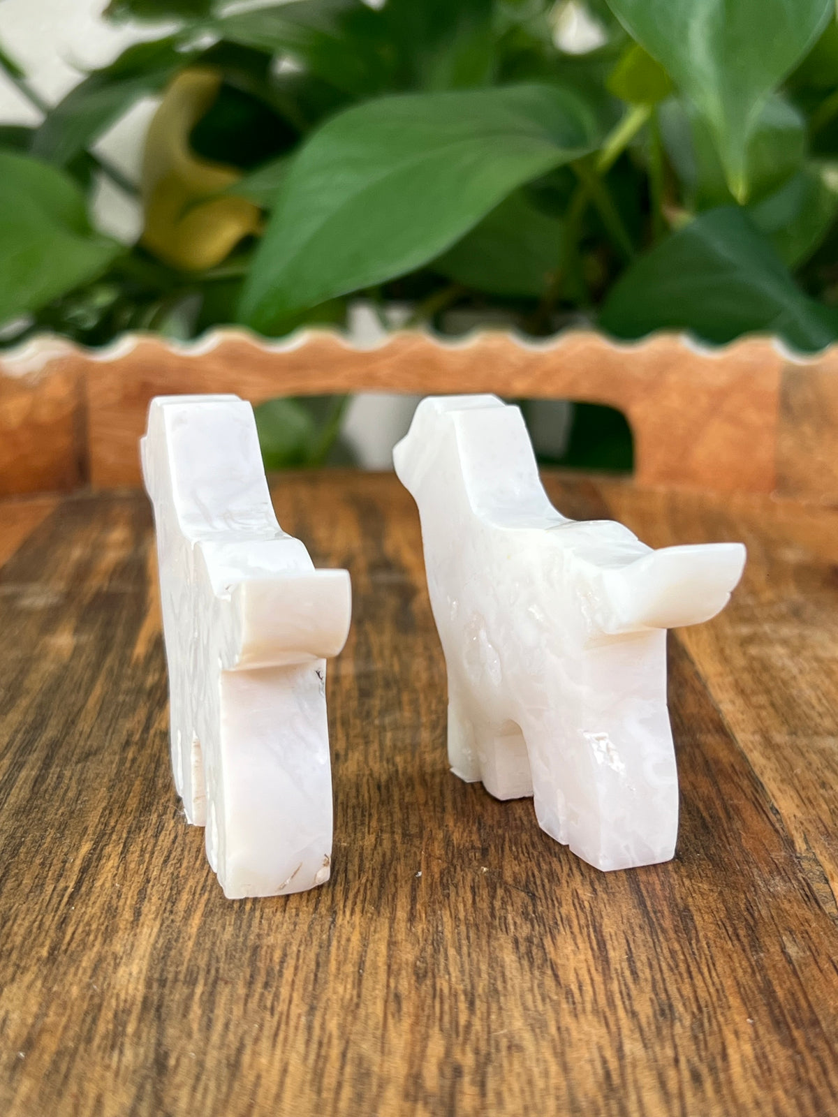 White Plume Agate Dogs