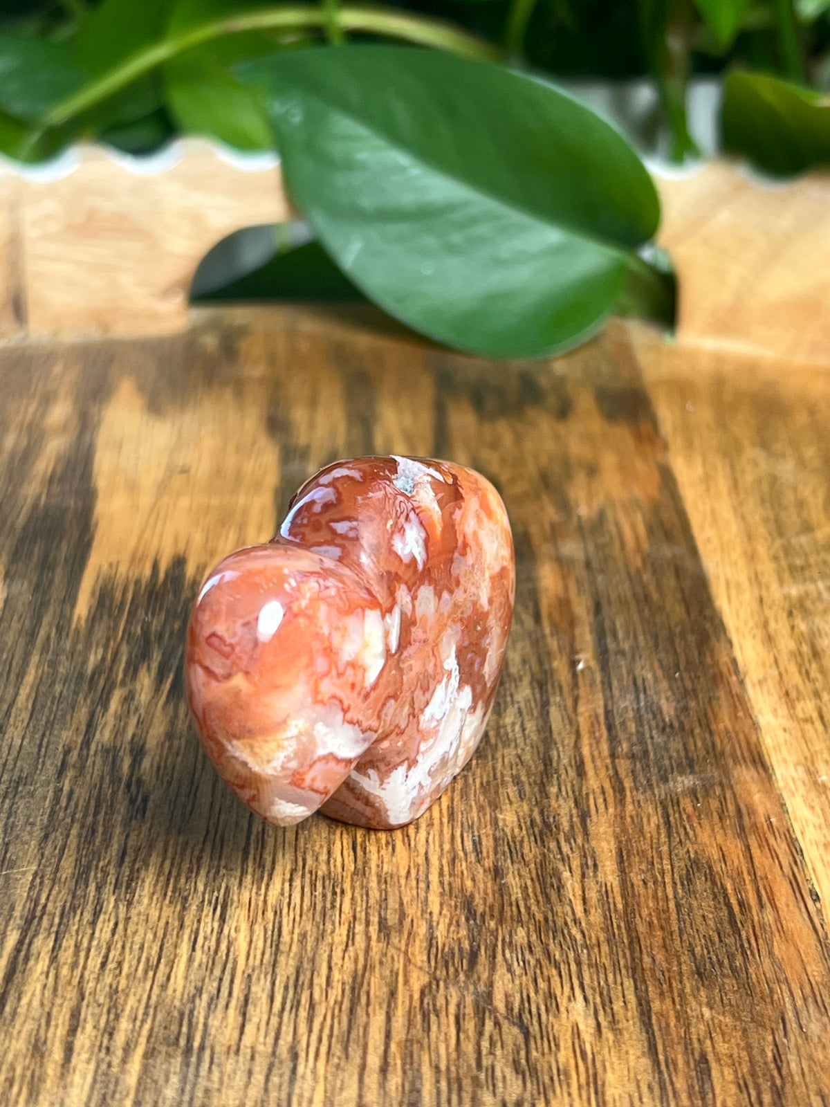 Carnelian Mini Buffalo: BG