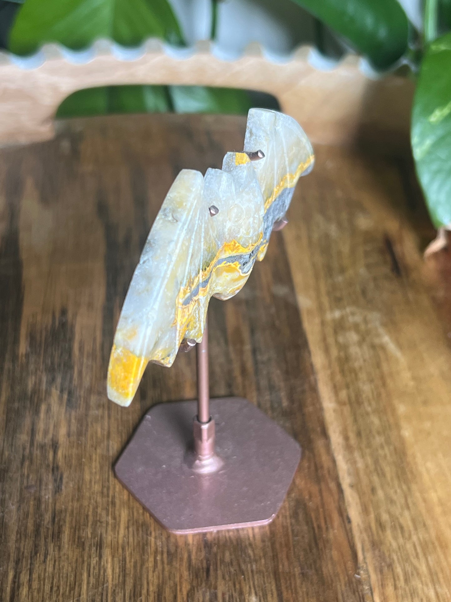 Bumblebee Jasper Bat