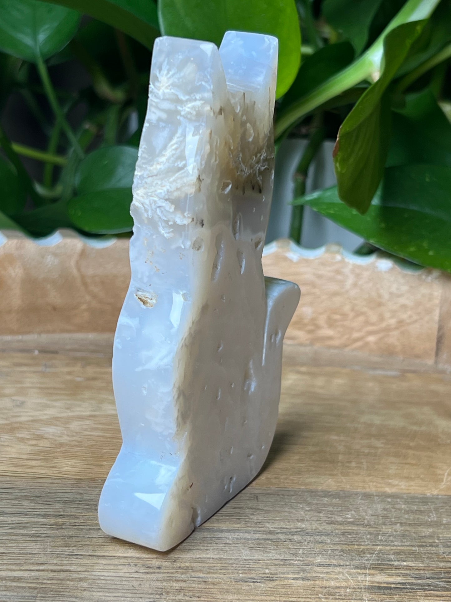White Plume Agate Cat