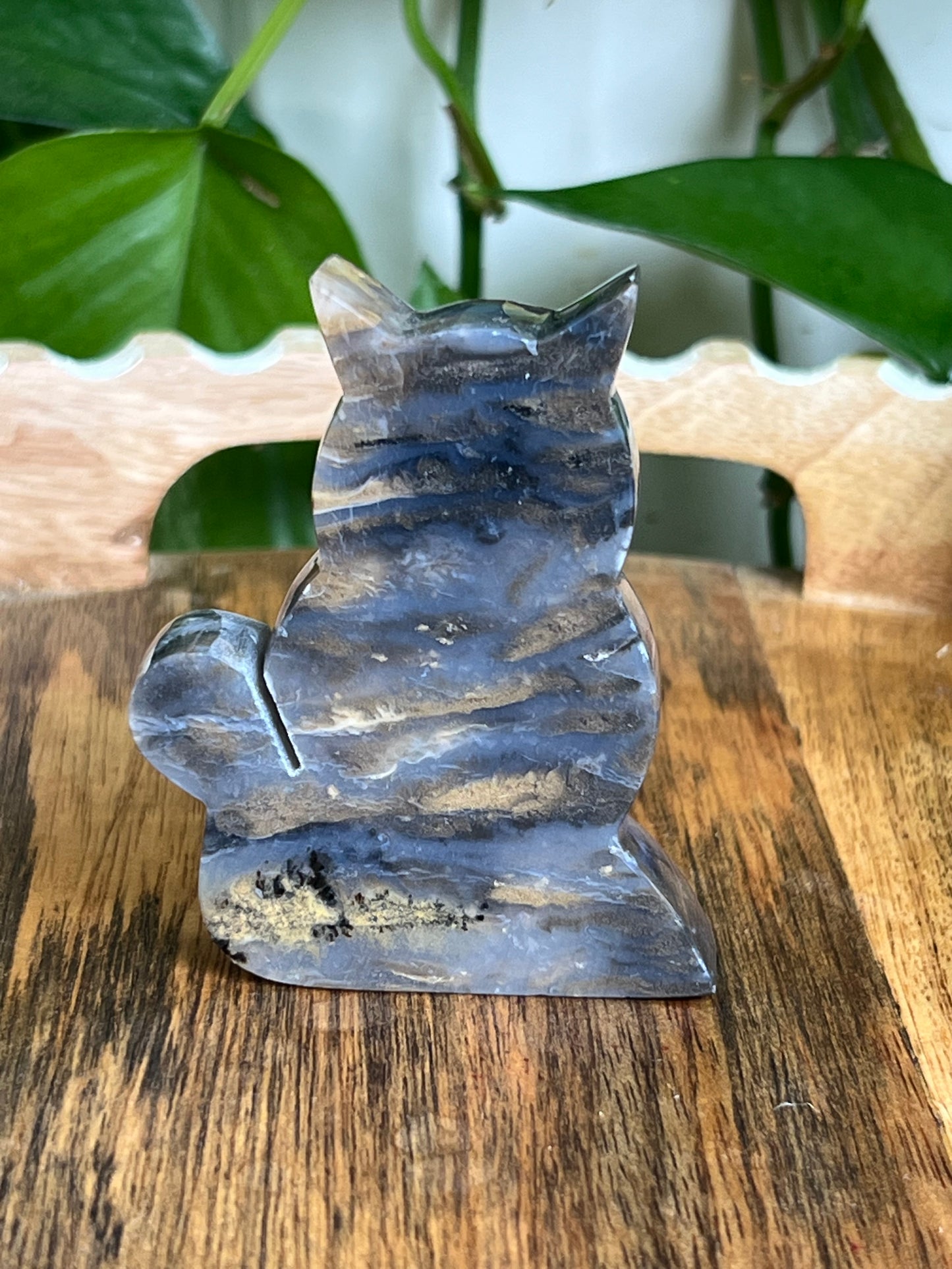 Dendritic Tiger Agate Cat AE
