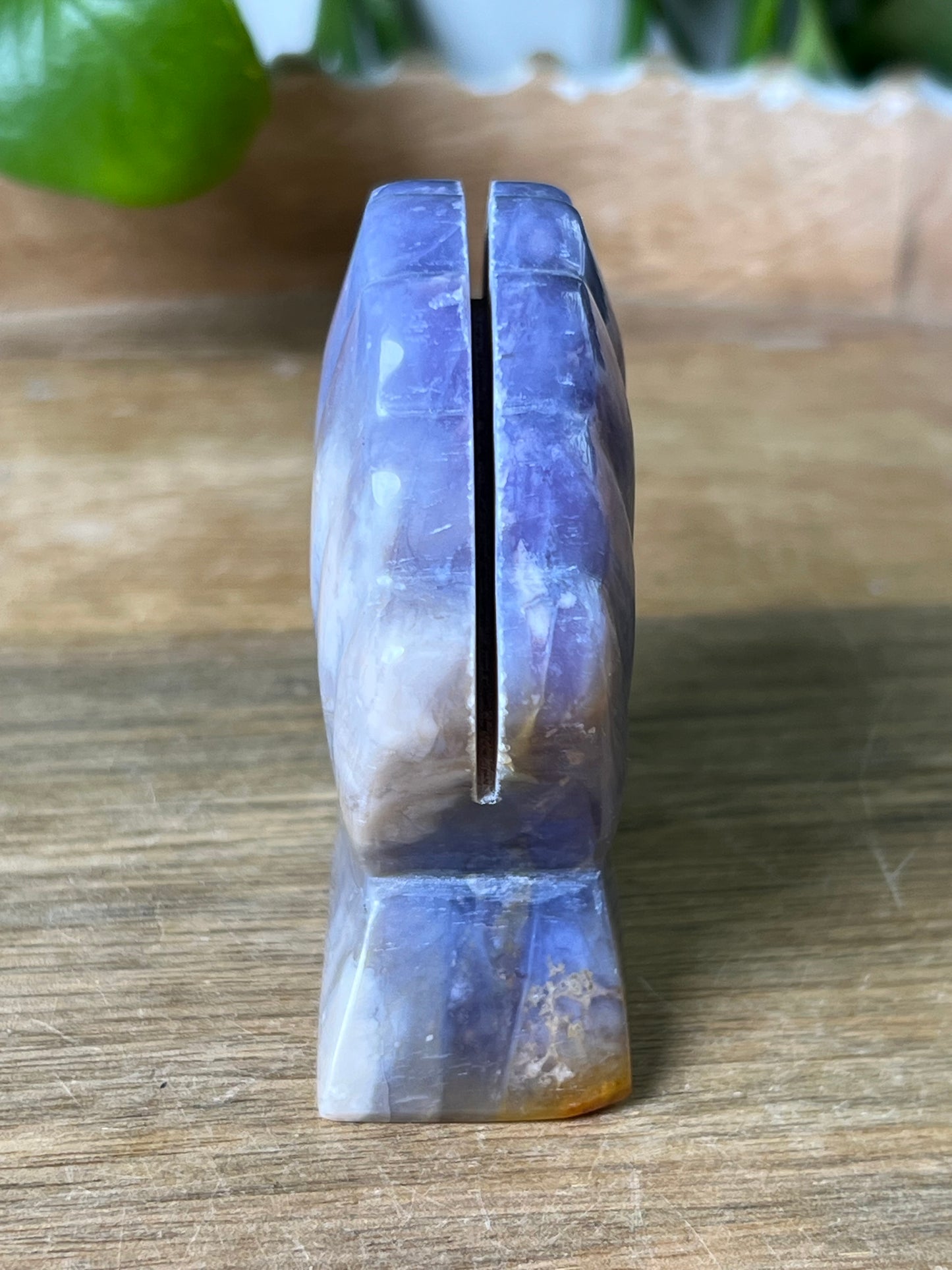 Purple Chalcedony Shell