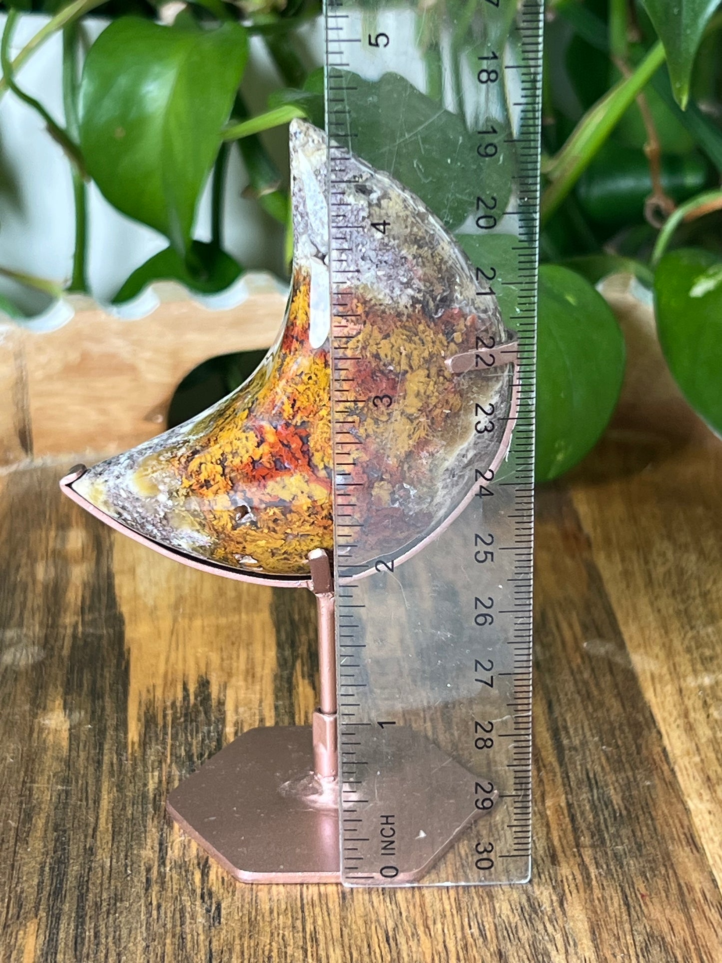 Scenic Moss Agate Moon