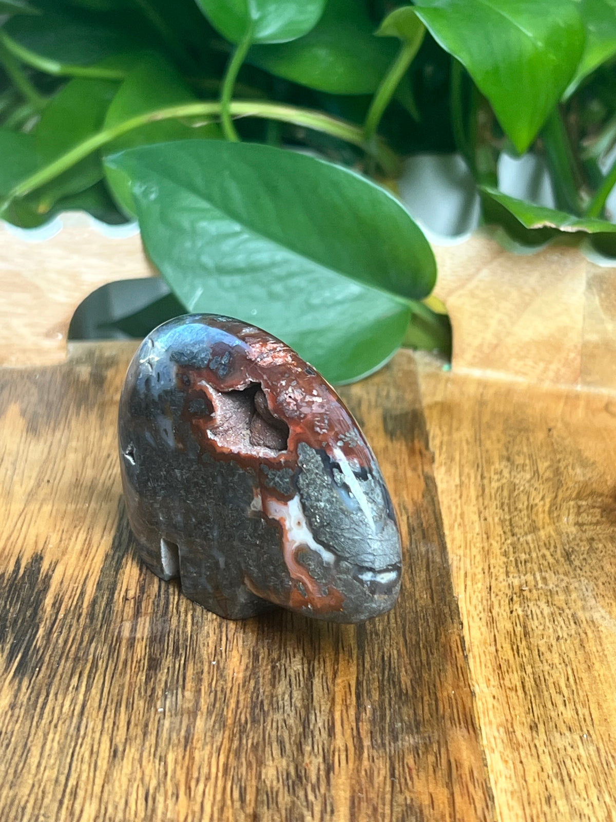 Marcasite Bear: TG