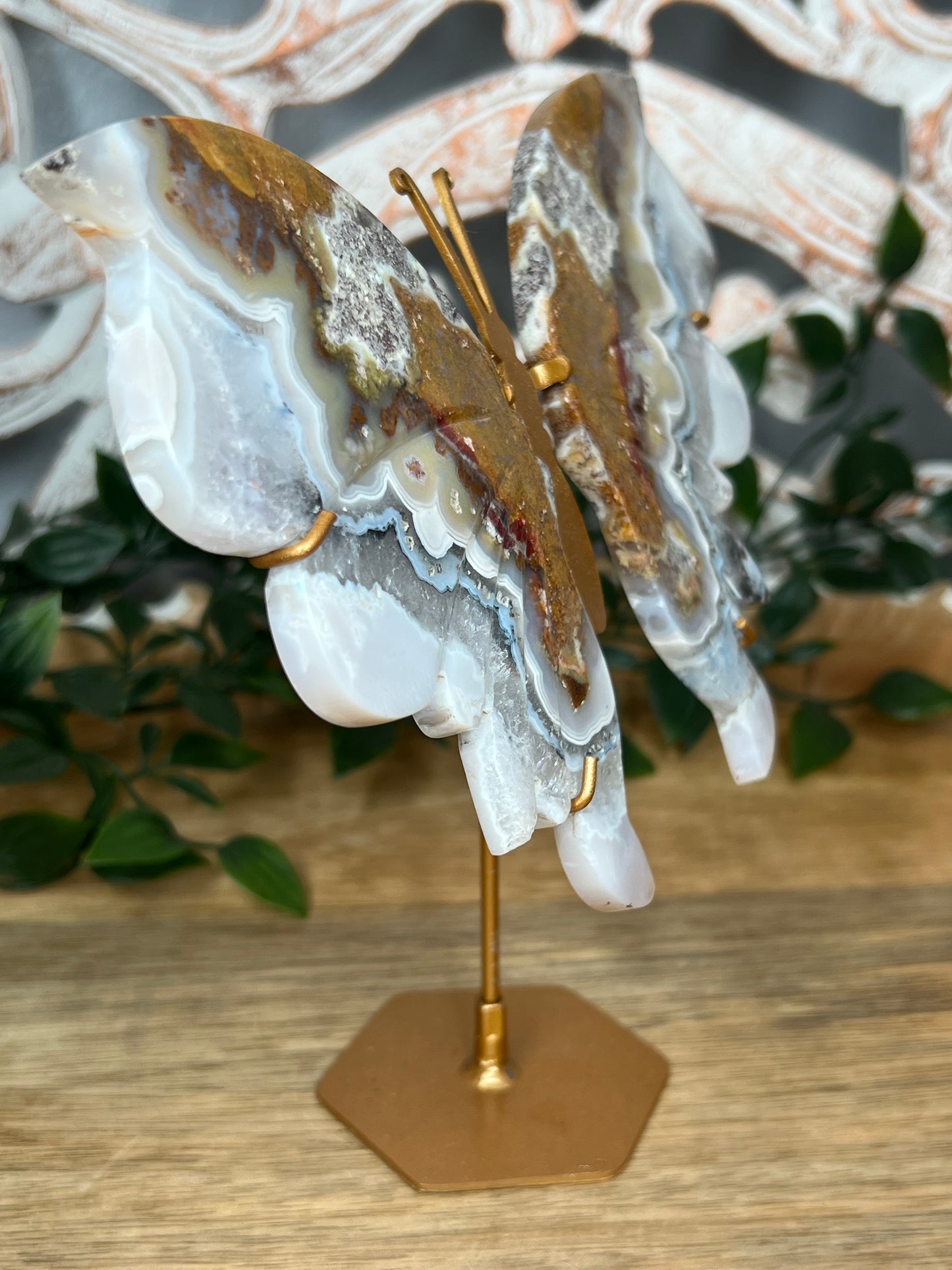 Scenic Moss Agate Wings