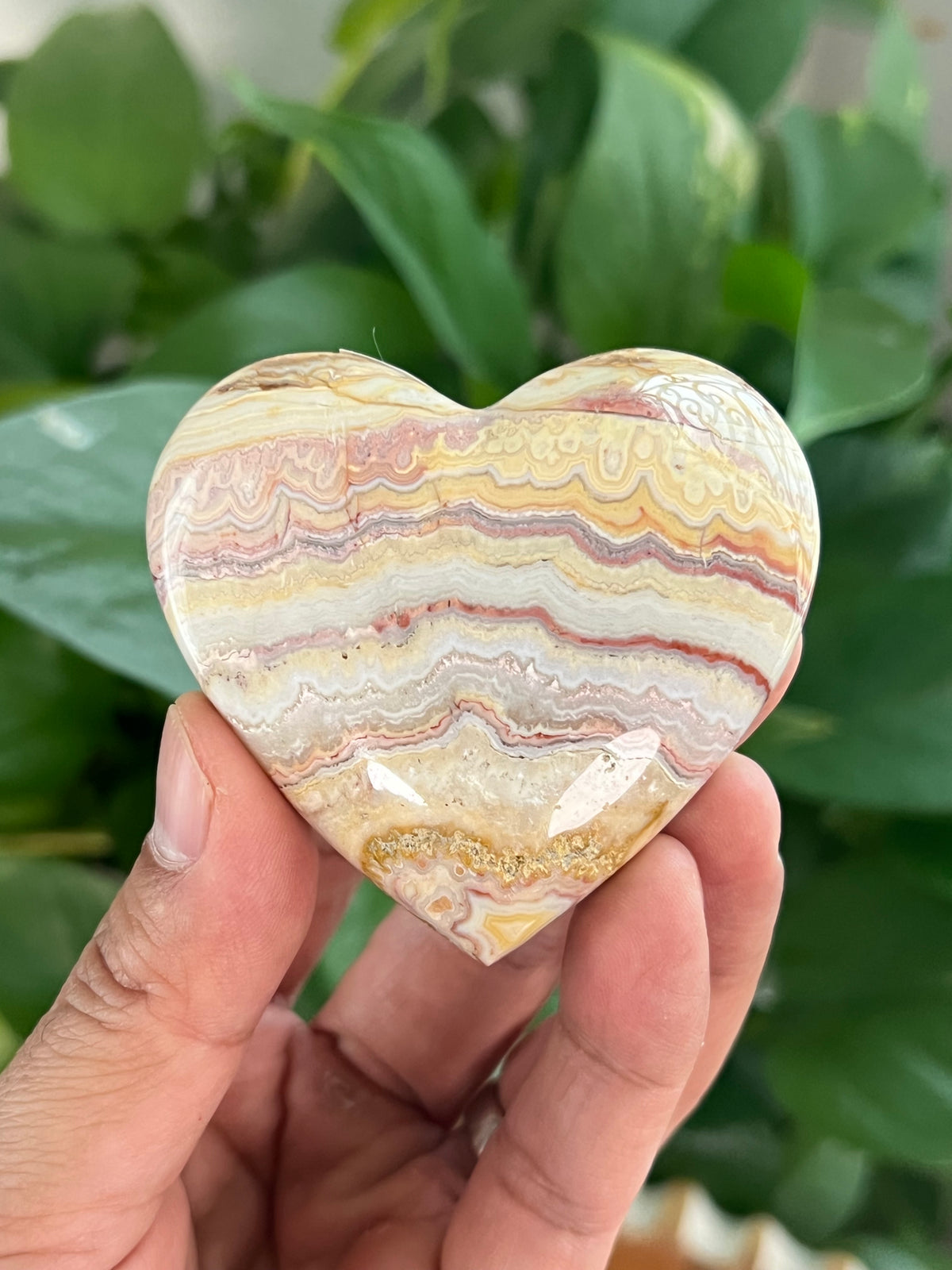 Crazy Lace Agate Small Puffy Moons