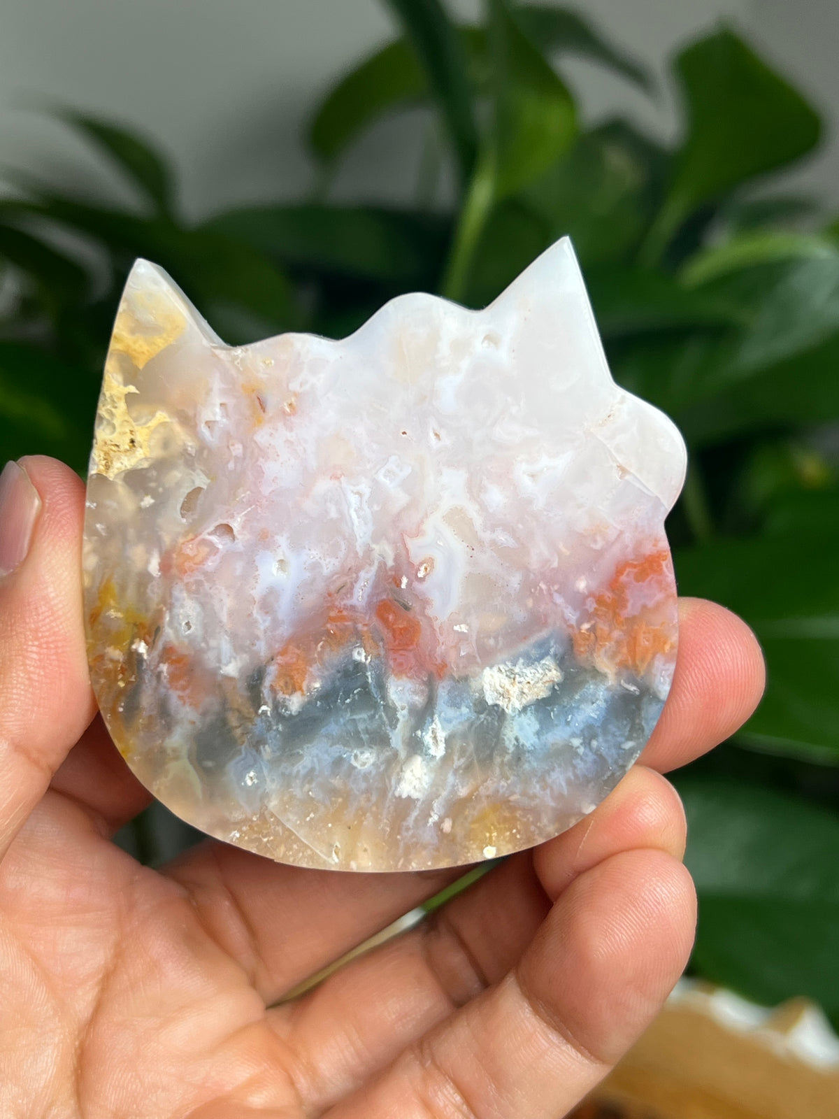 Rainbow Plume Agate Cat: FD