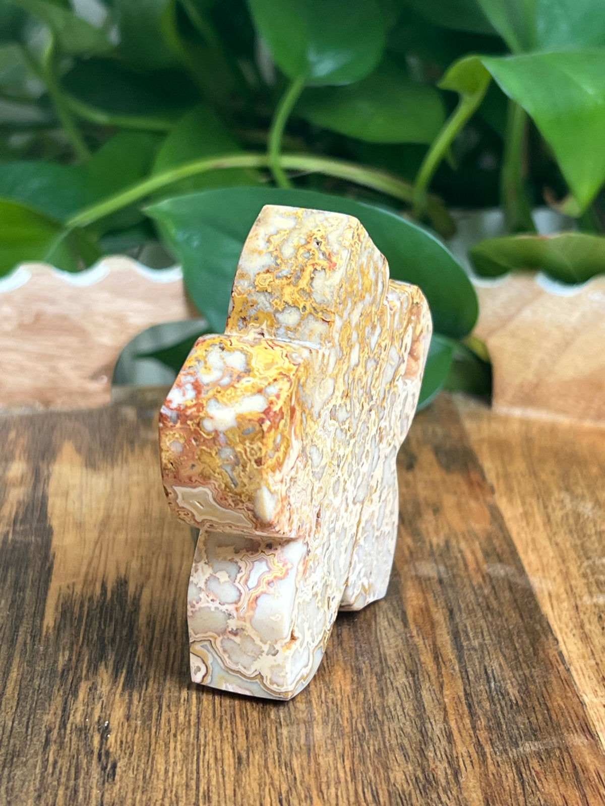 Crazy Lace Agate Flower: Ci