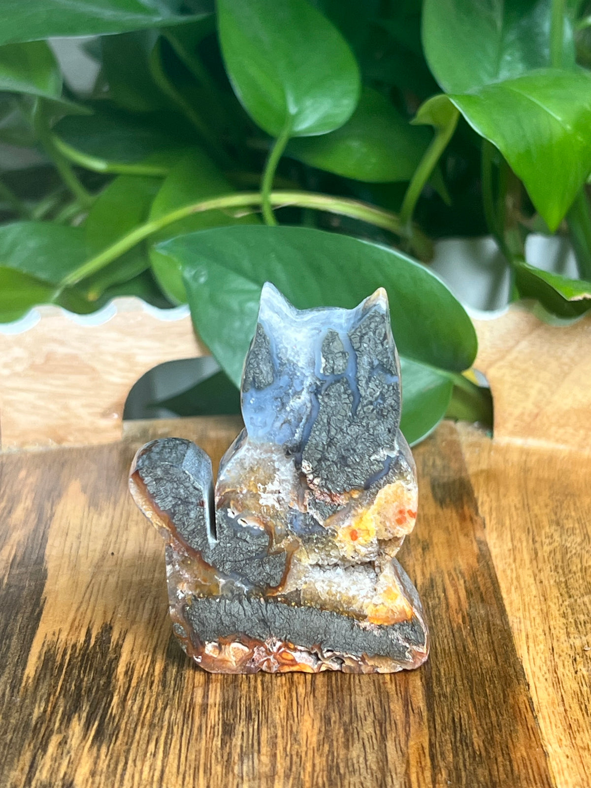 Marcasite Cat: DF