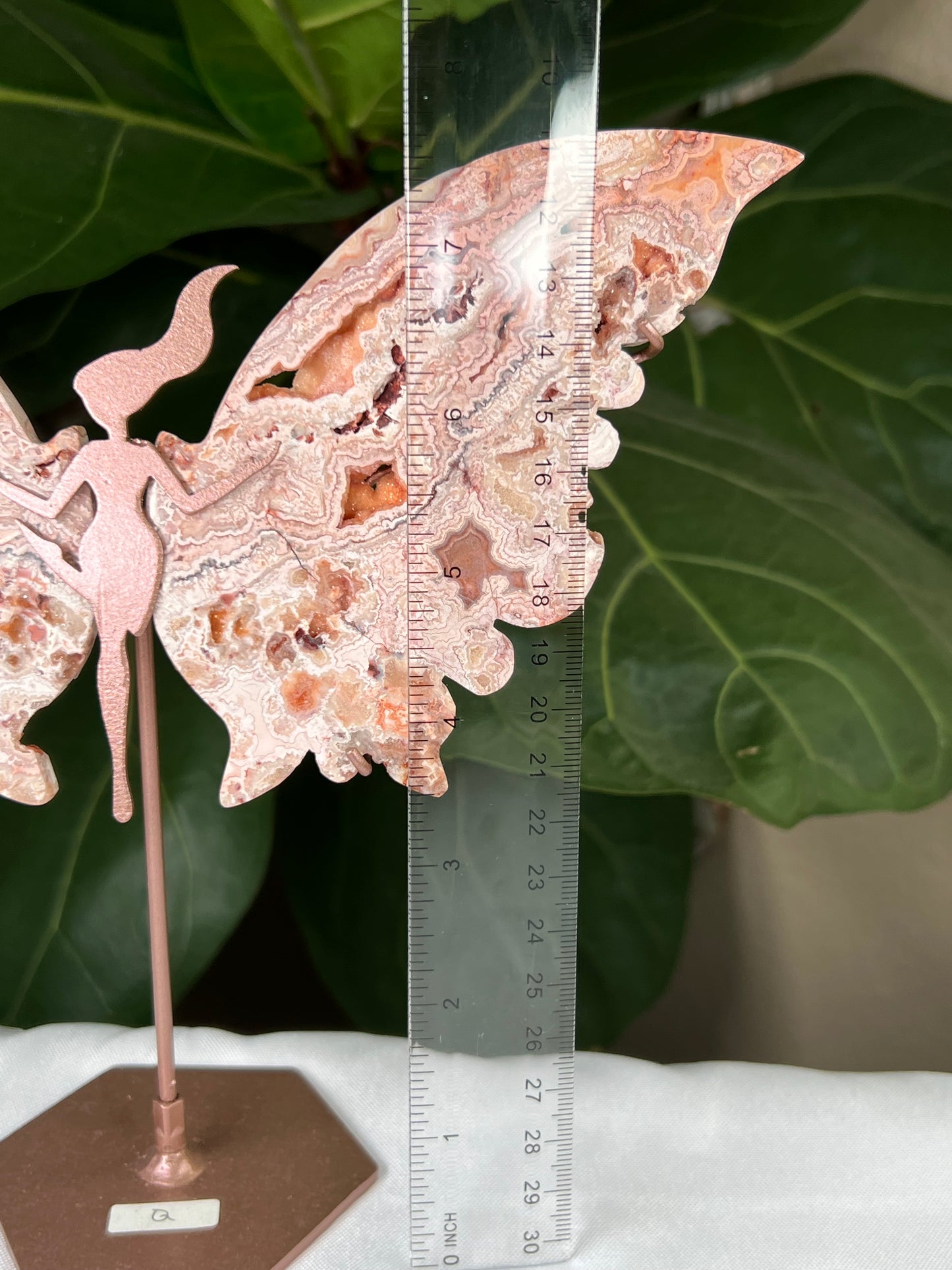 Crazy Lace Agate Wings