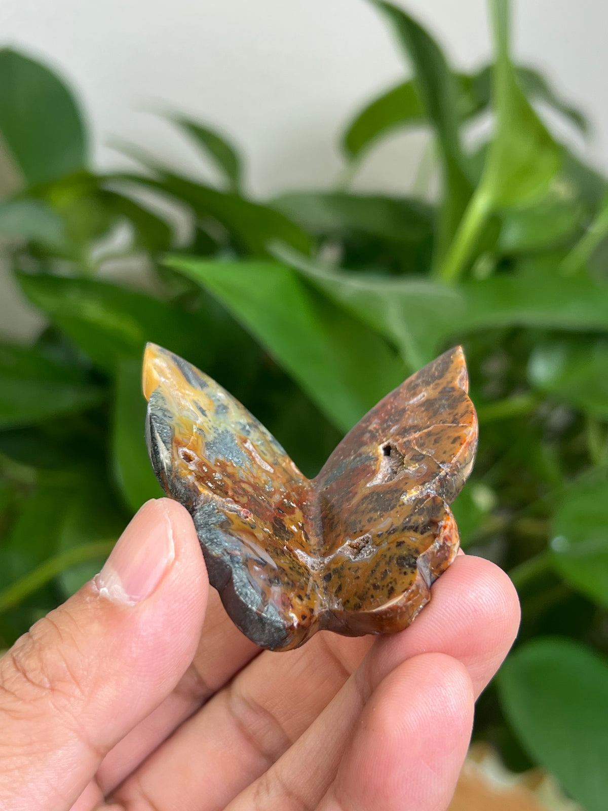 Marcasite 3D Butterfly: MC