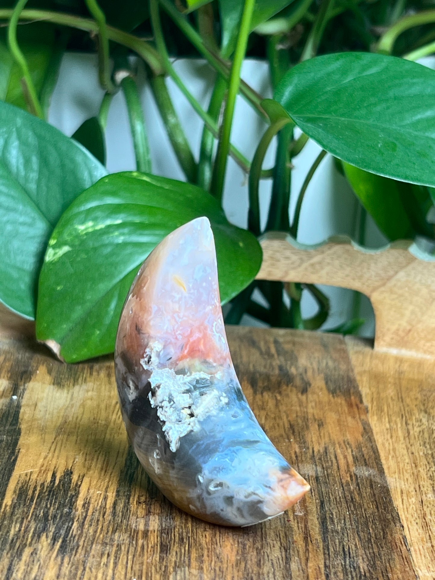 Rainbow Plume Agate Self-Standing: F