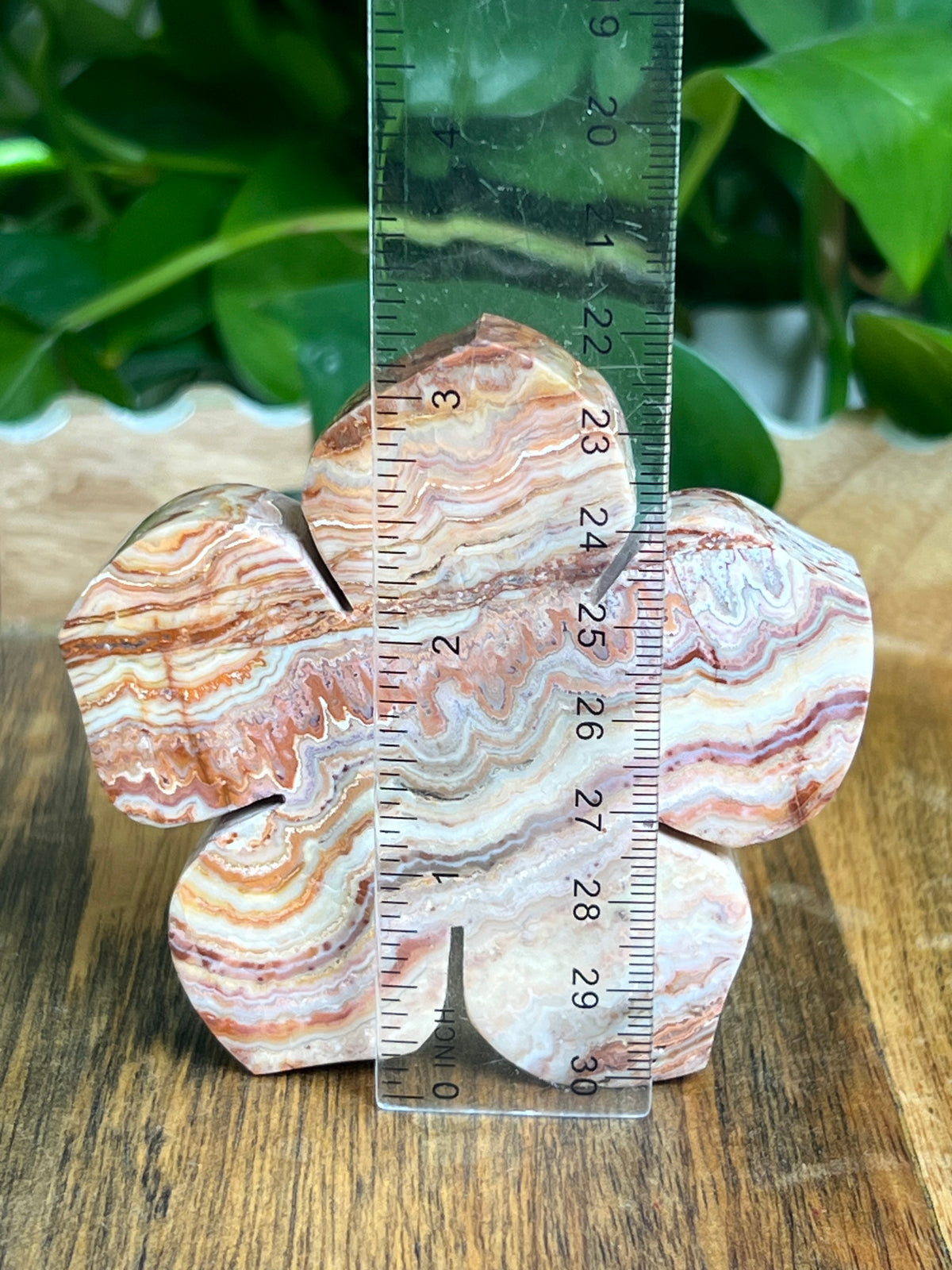Crazy Lace Agate Flower: CB