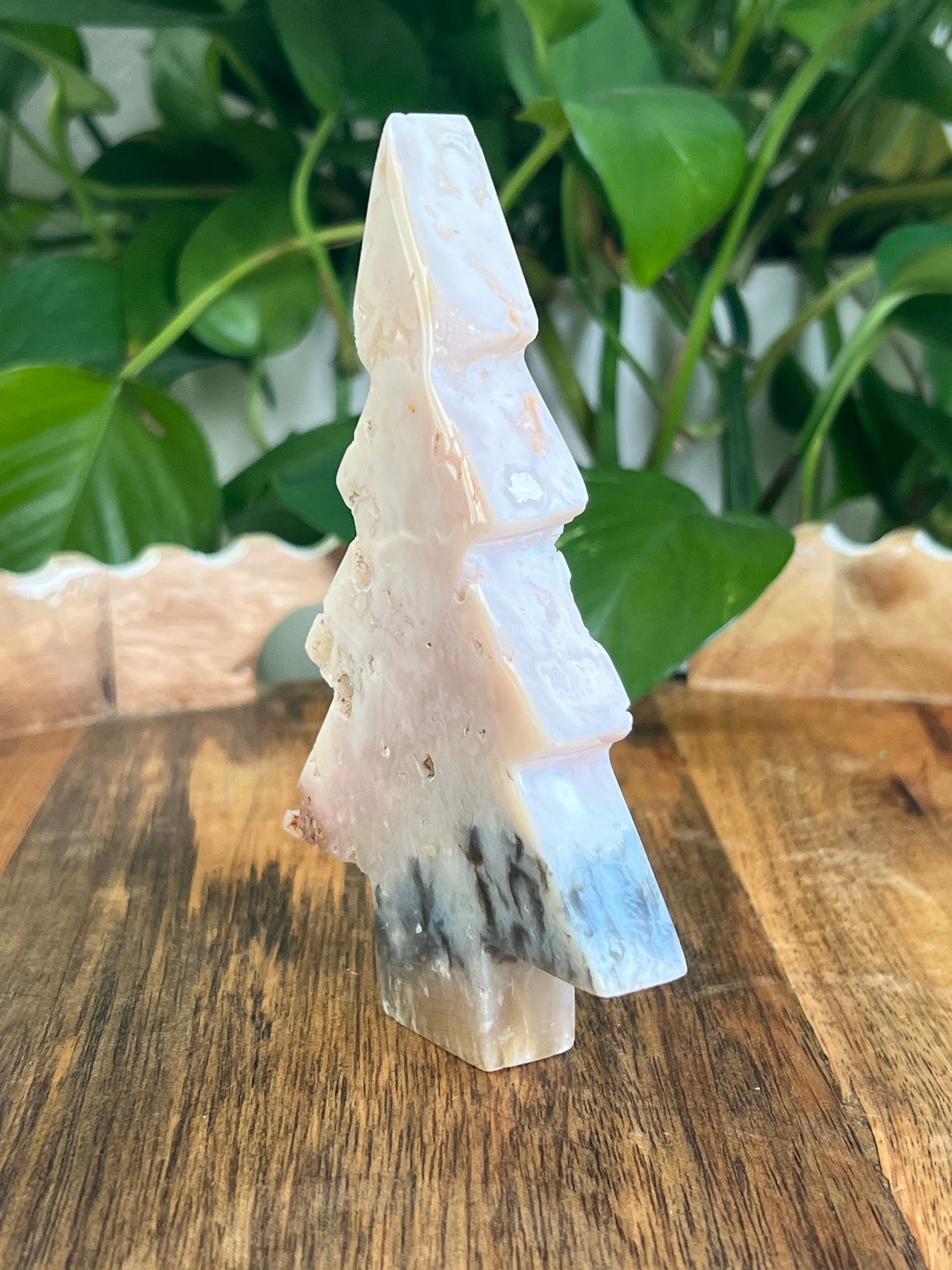 Rainbow Plume Agate Tree: DB