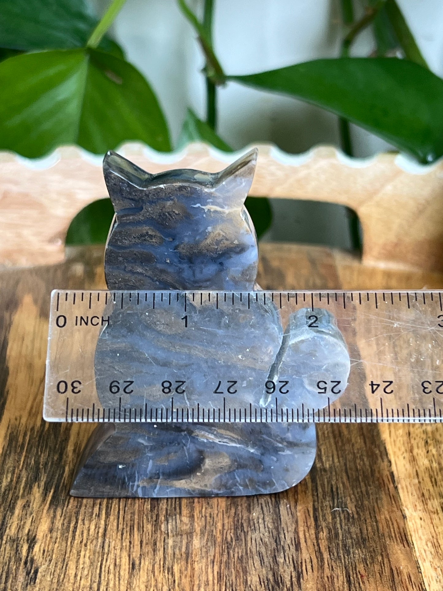 Dendritic Tiger Agate Cat AE