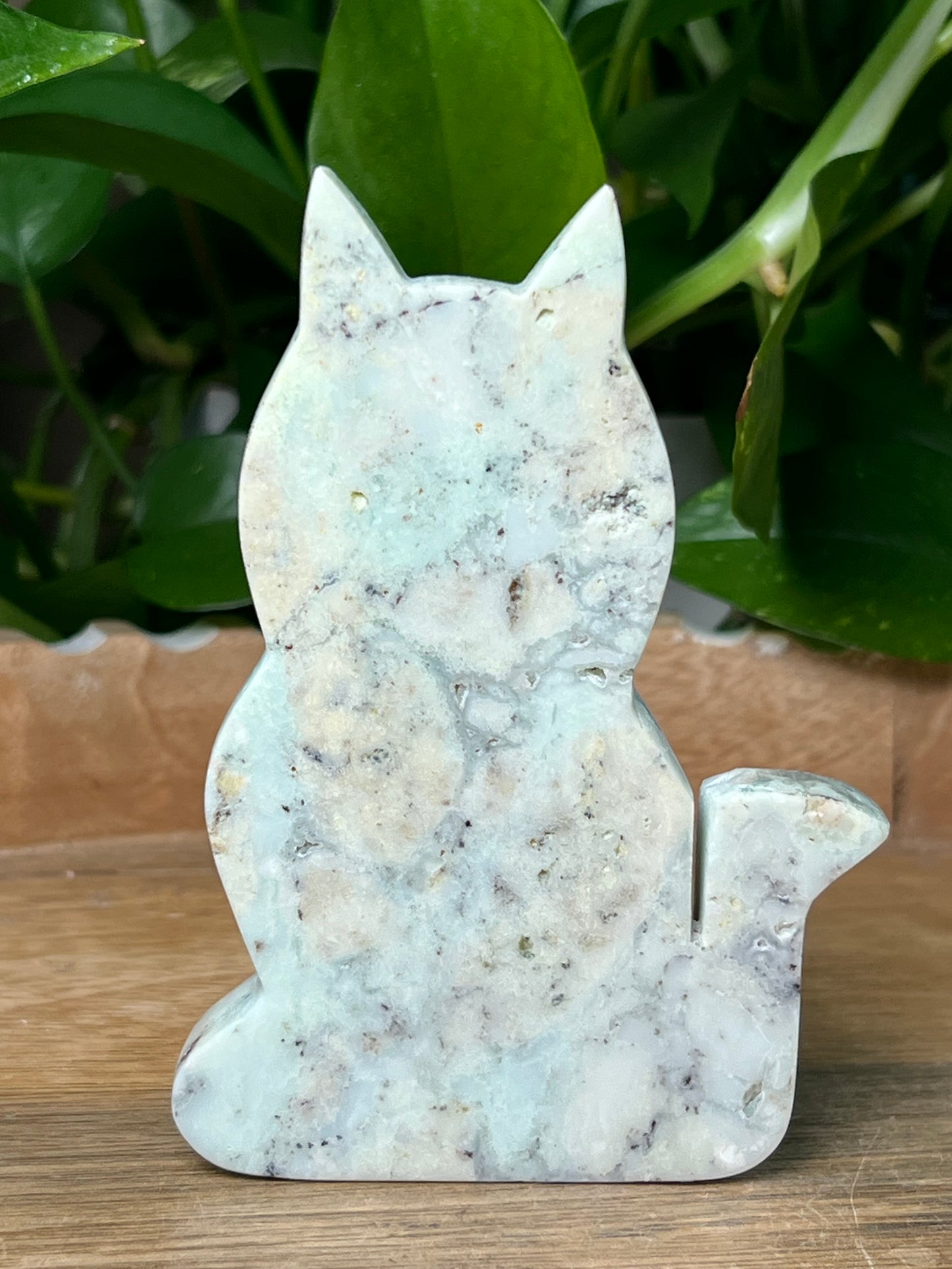 Chrysoprase Cat