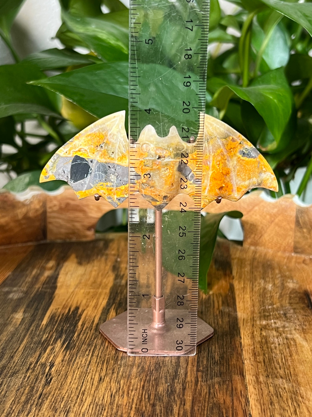 Bumblebee Jasper Bats