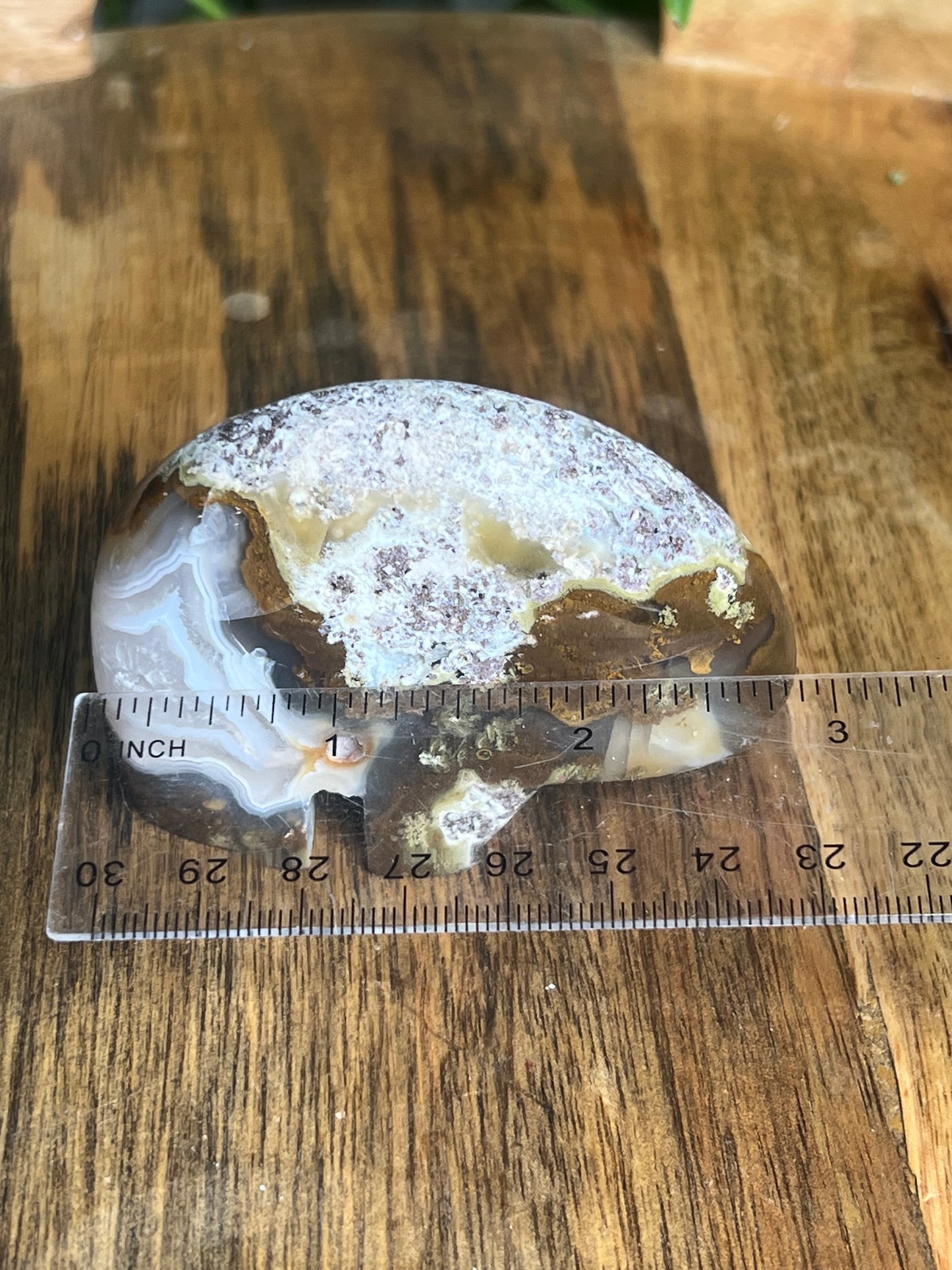Scenic Moss Agate Bear BK