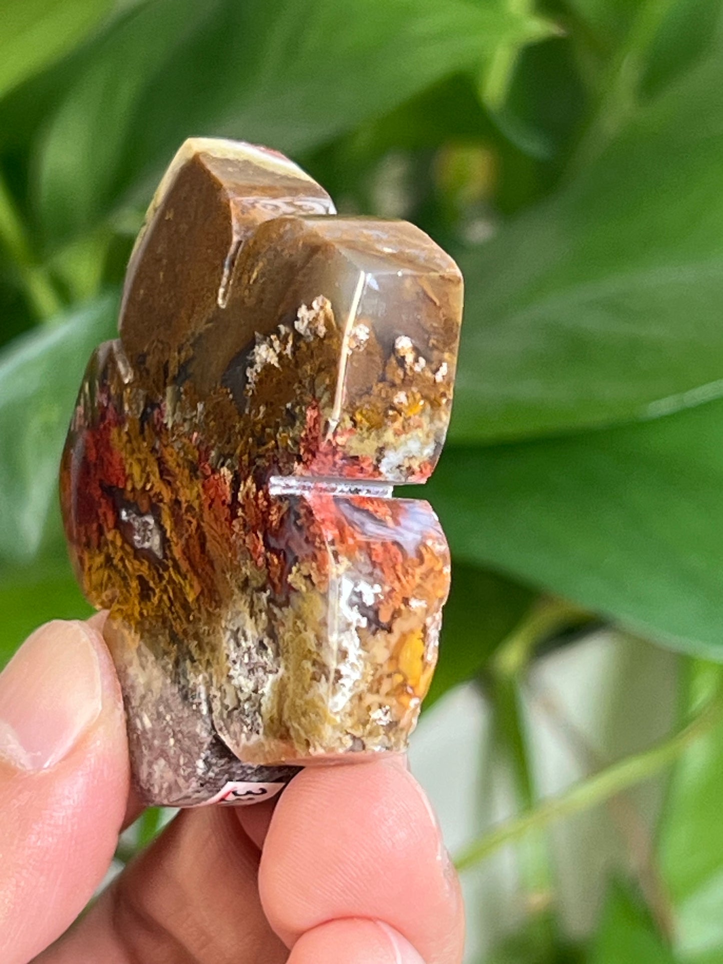 Scenic Moss Agate Flower NB