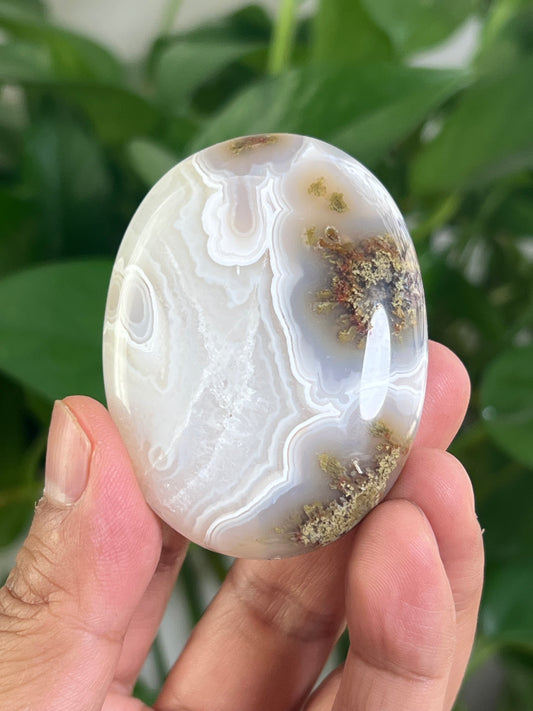 Scenic Moss Agate Palmstone: RG