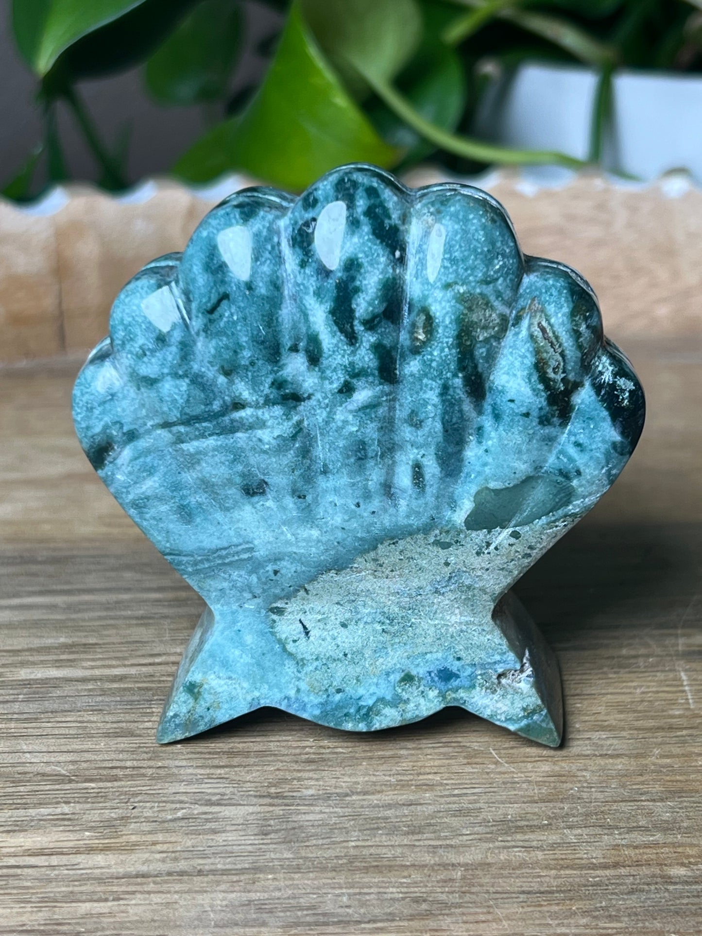 Blue Green Jasper Shell