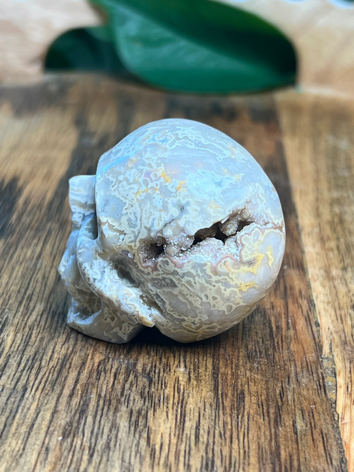 Sumatra Plume Agate Mini Plume: F