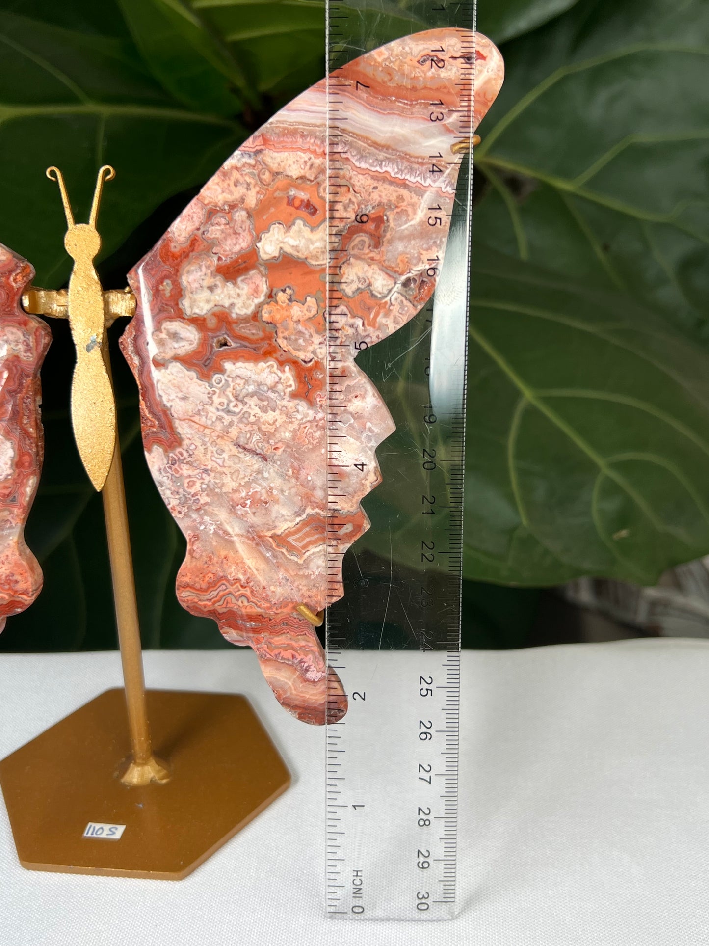 Crazy Lace Agate Wings