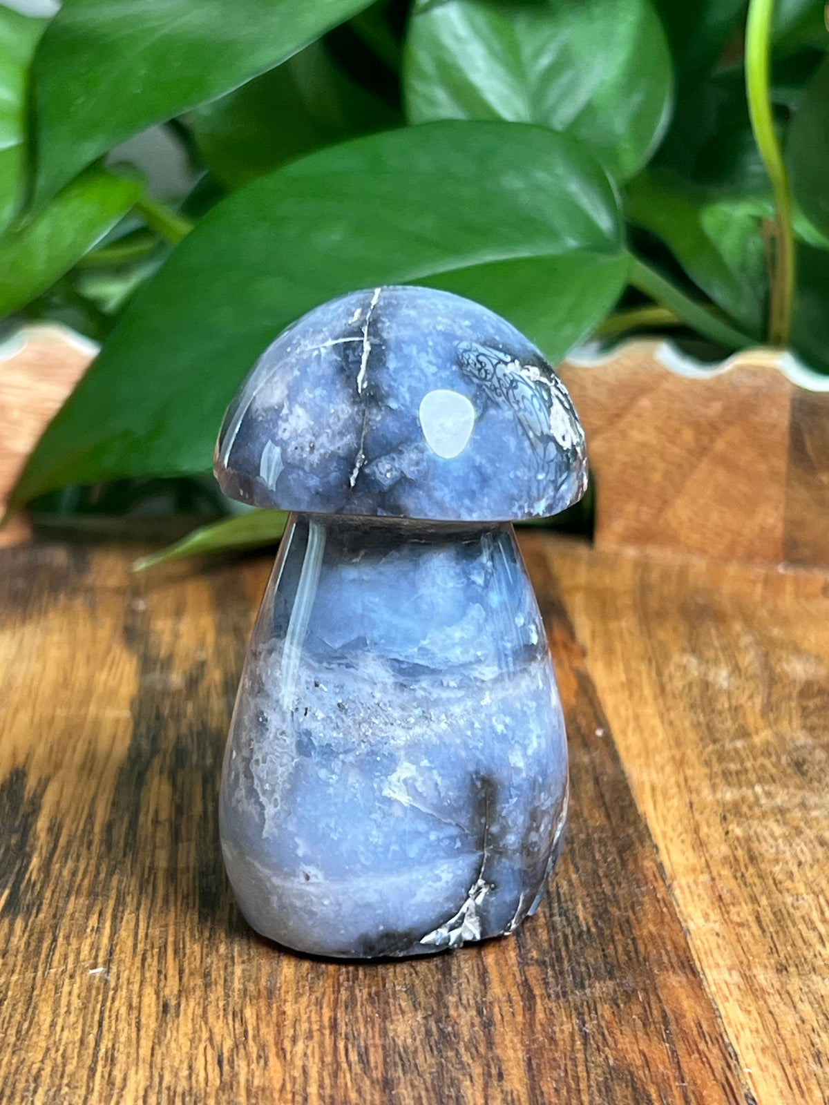 Blue Plume Agate Mushroom: CF