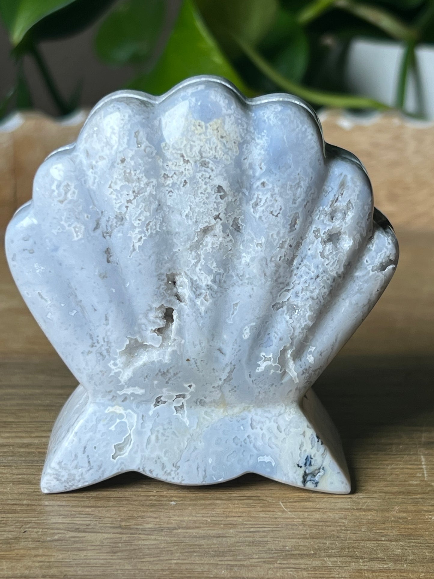 Blue Plume Agate Shell