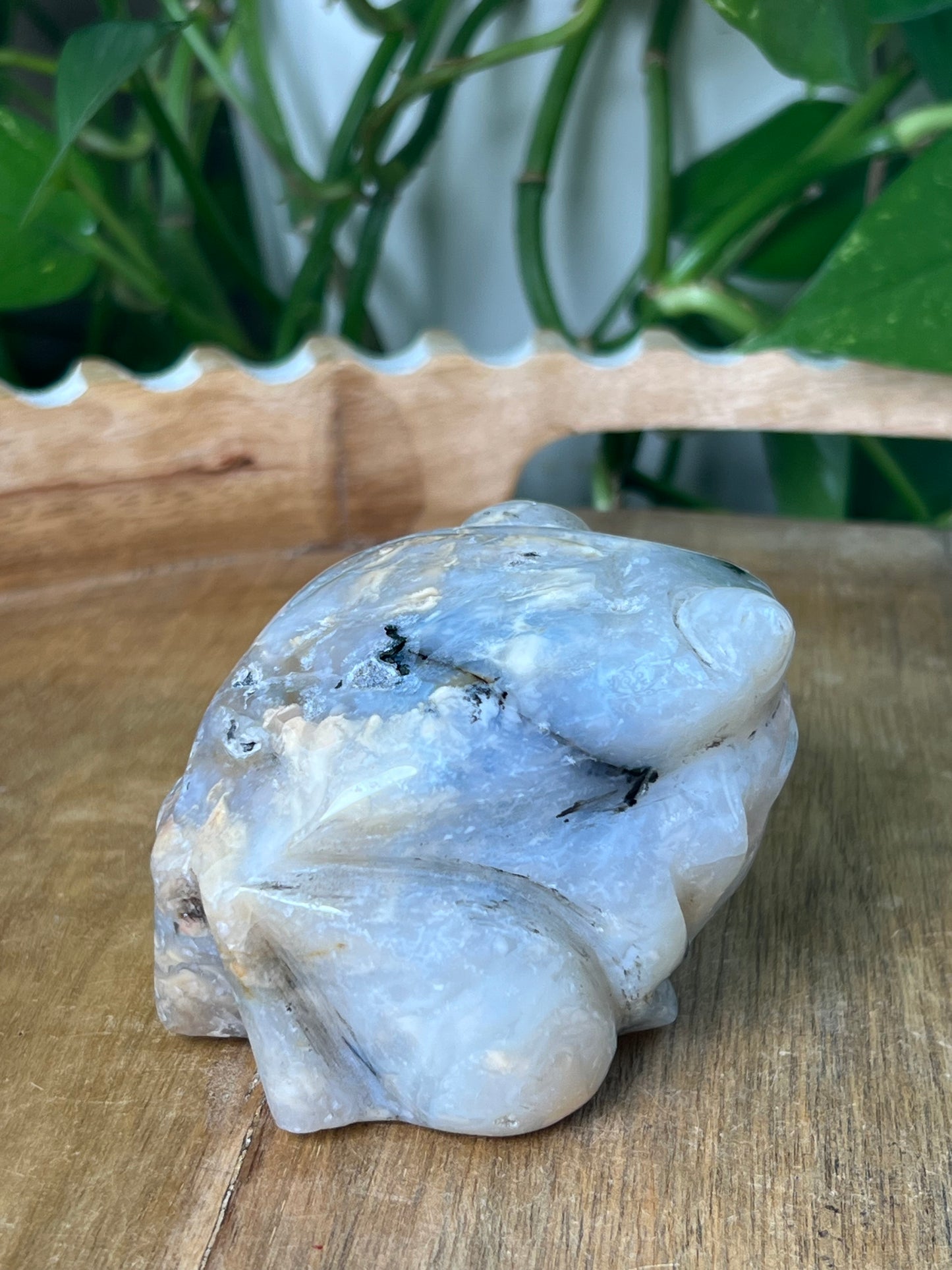 Dendritic Tiger Agate Frog