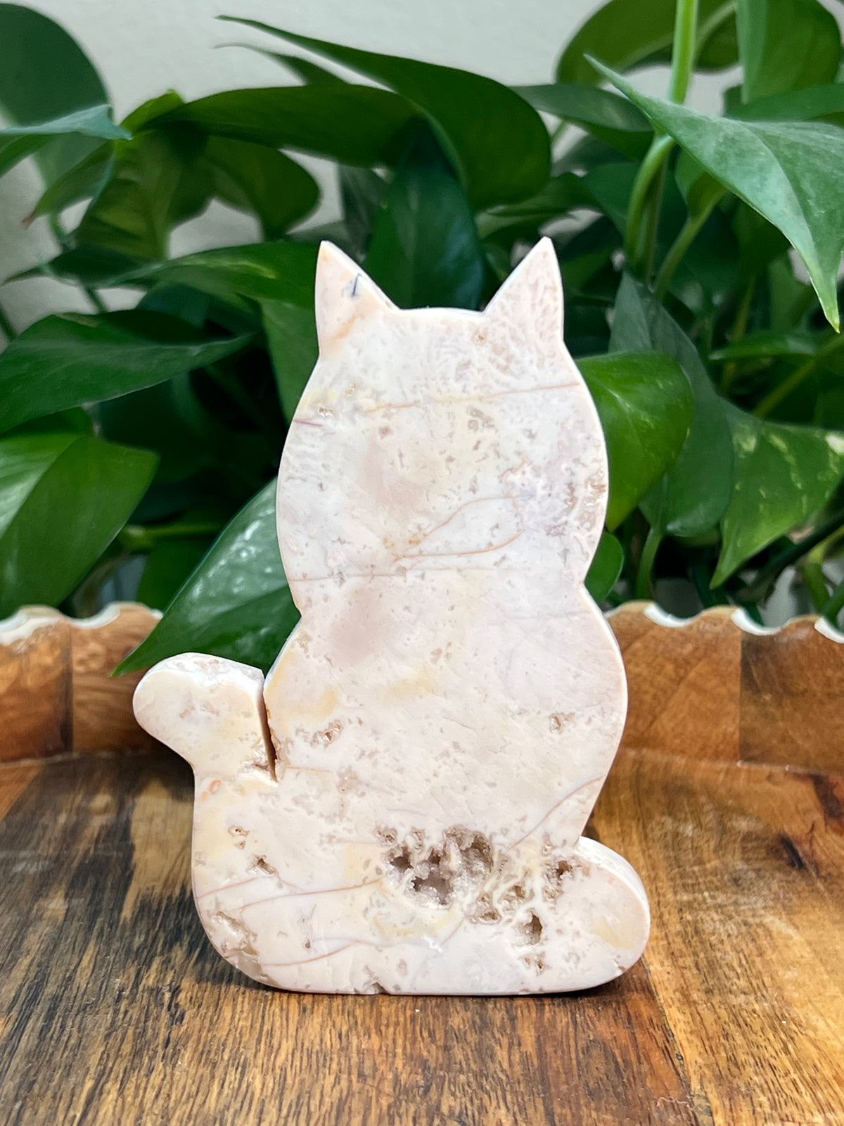 Pink Carnelian Cat: QS