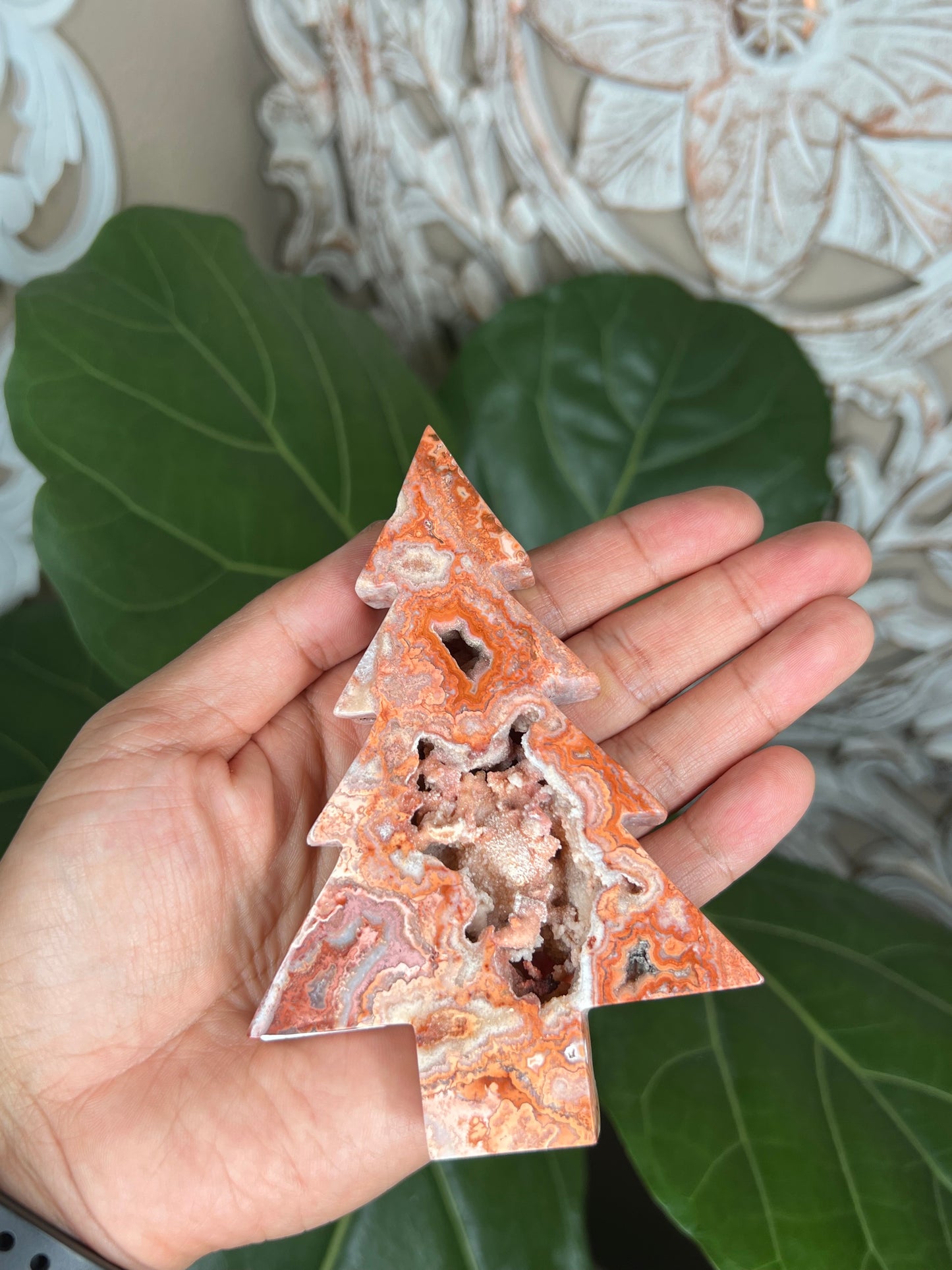 Crazy Lace Agate Tree