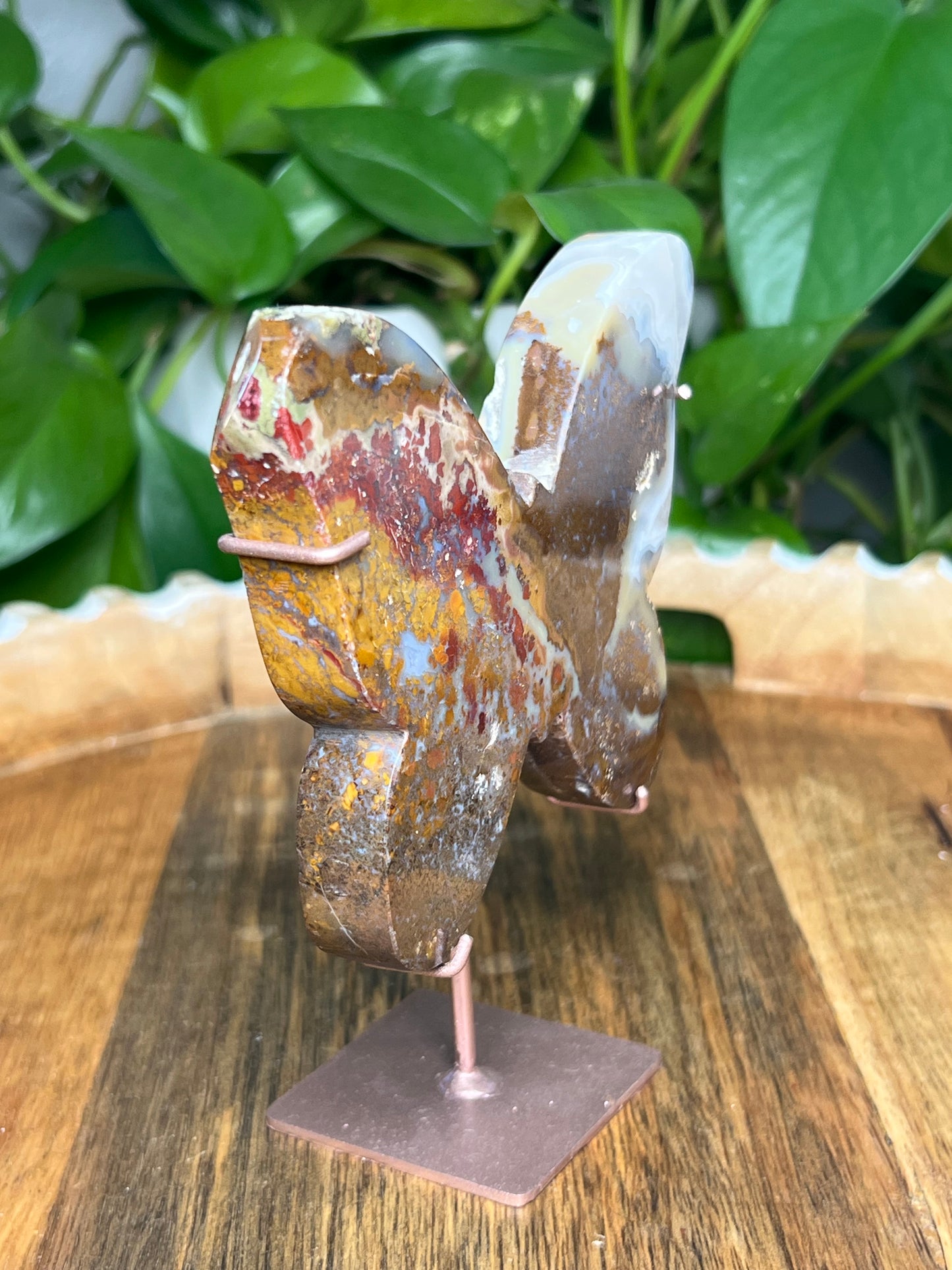 Scenic Moss Agate Butterfly