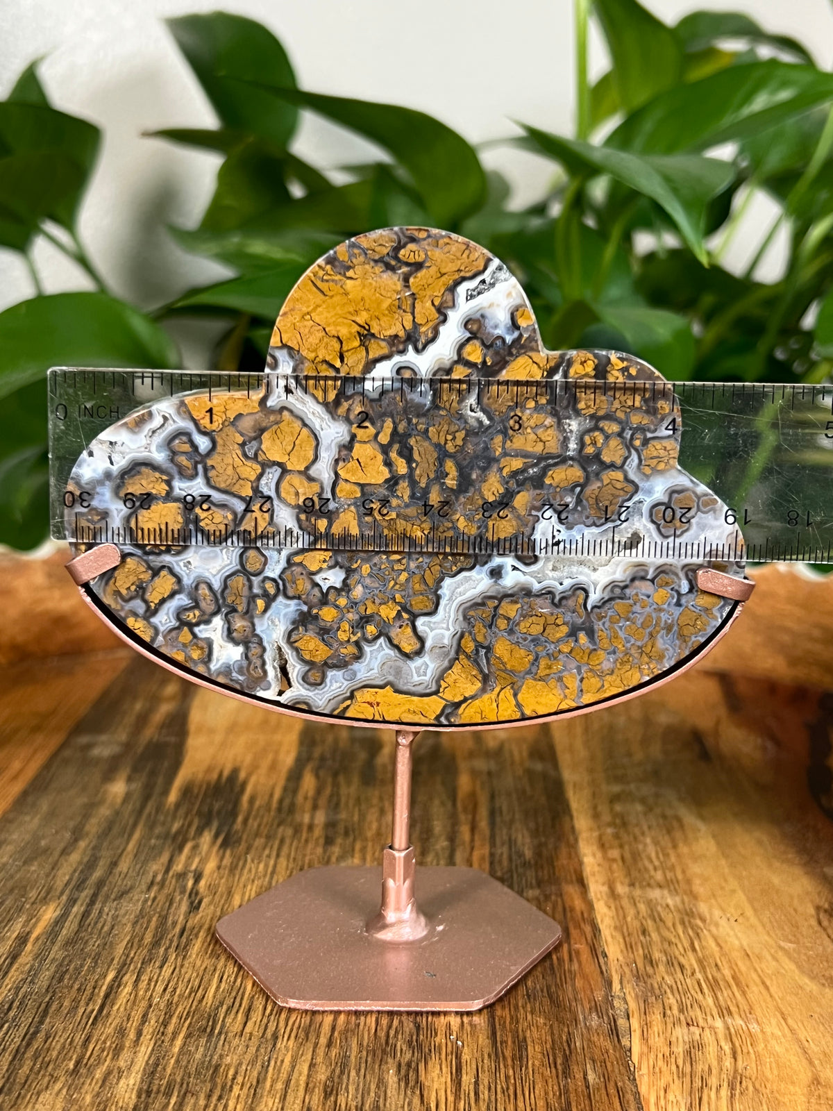 Brecciated Jasper Clouds