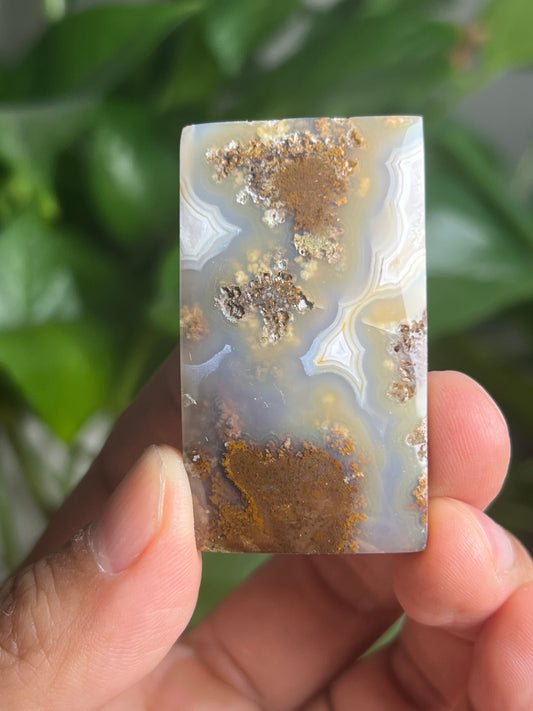 Scenic Moss Agate Cabochon: BB