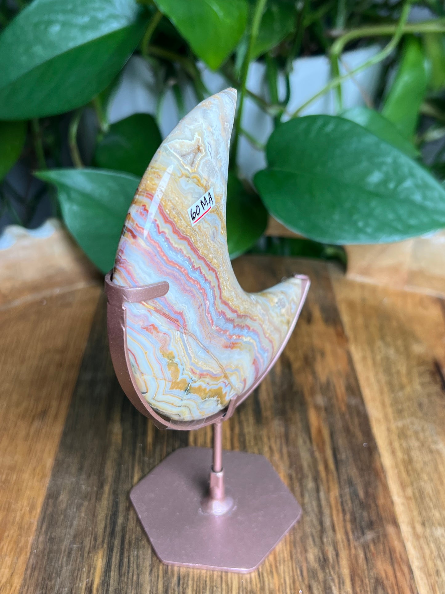 Crazy Lace Agate Moon: MA