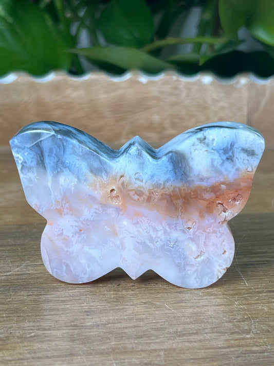 Rainbow Plume Agate Butterfly