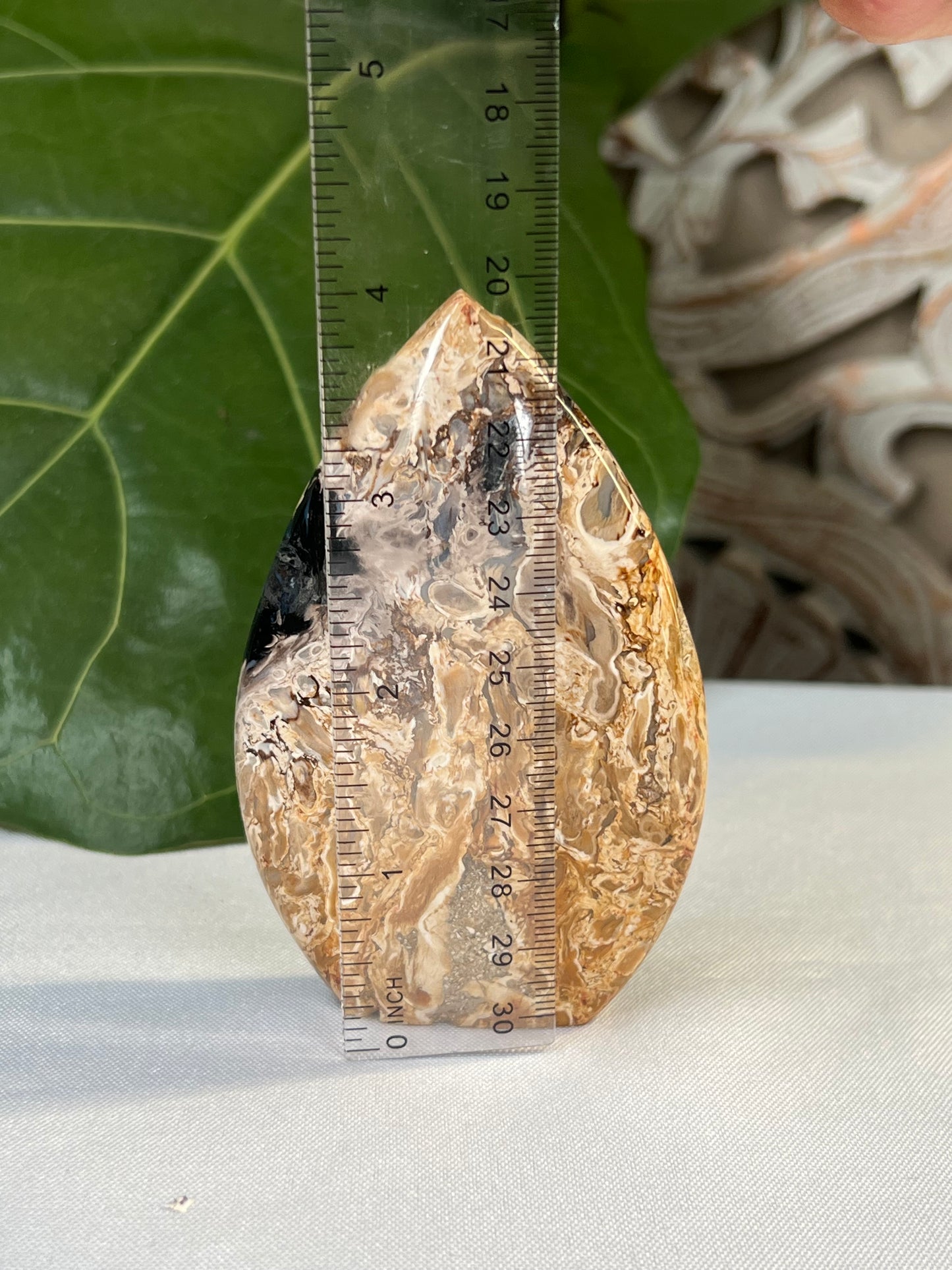 Palm Root Flame